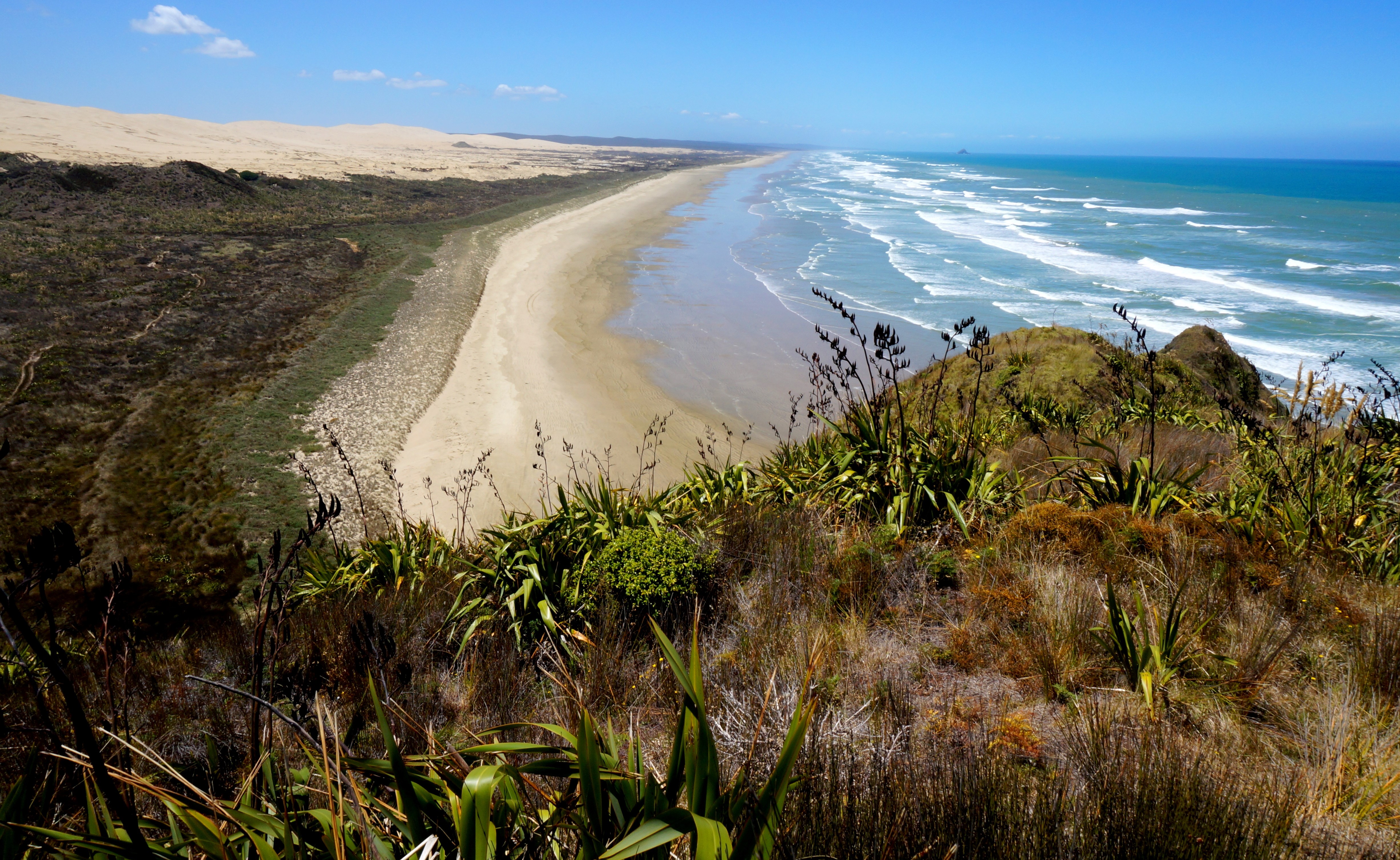 New Zealand