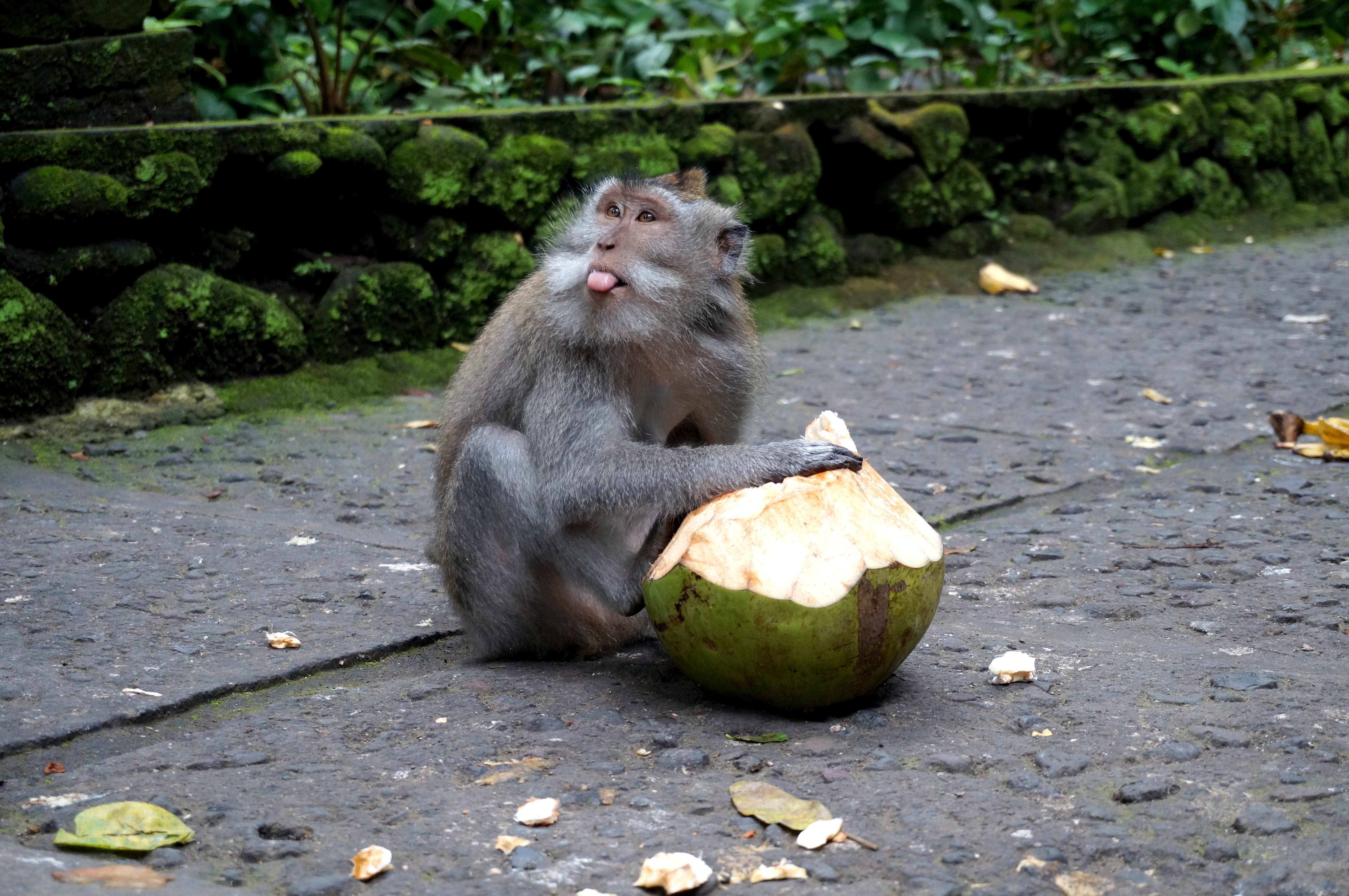 Ubud