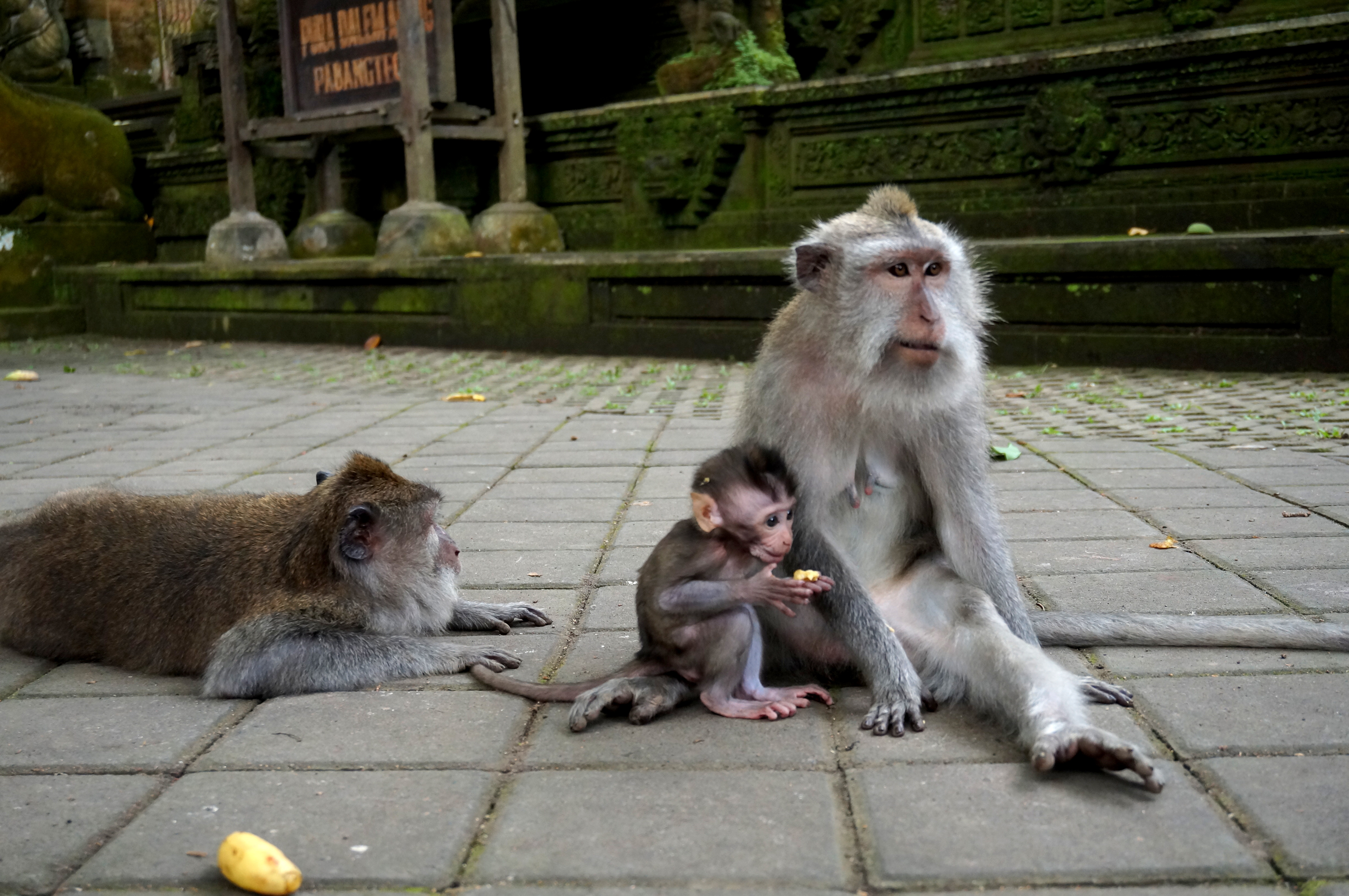 Ubud