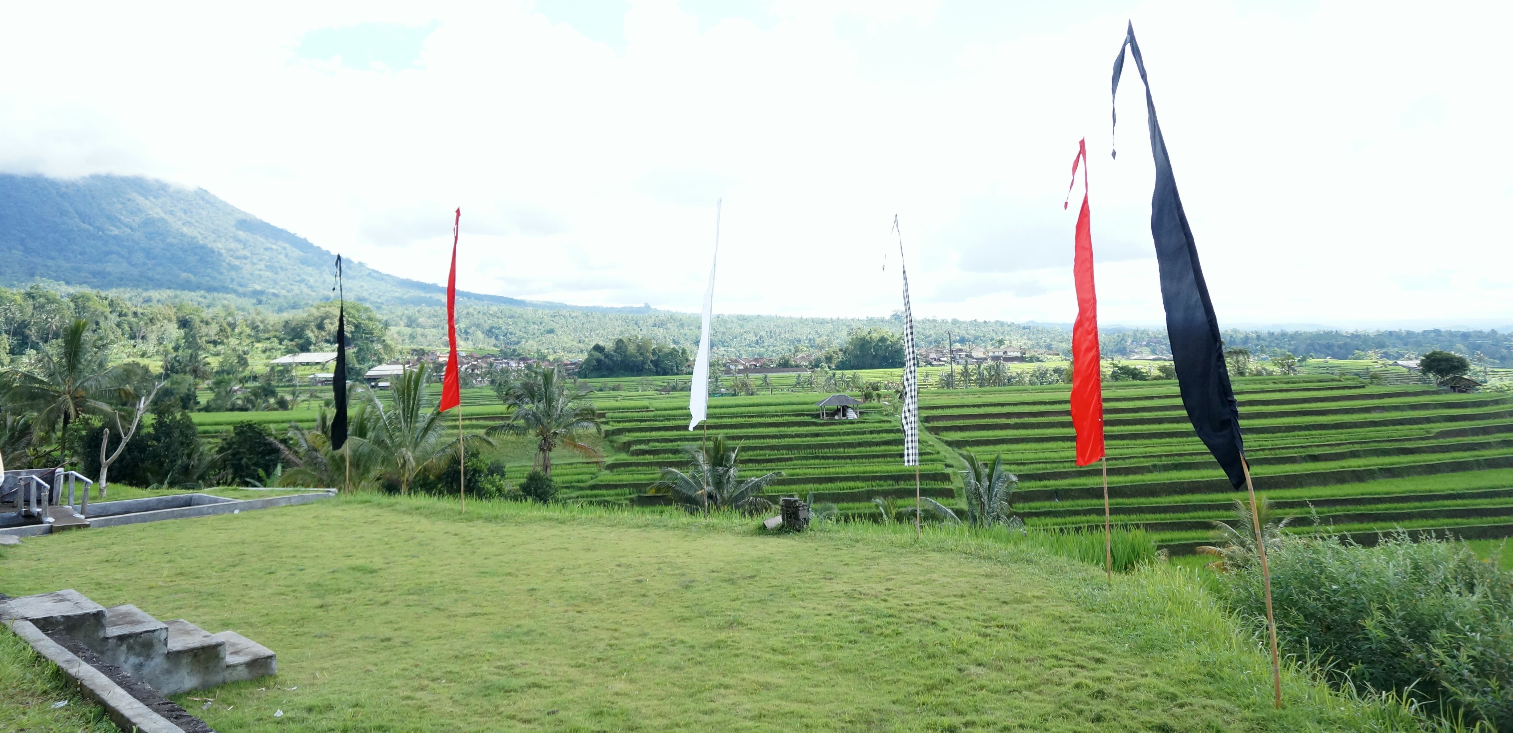 JatiLuwih
