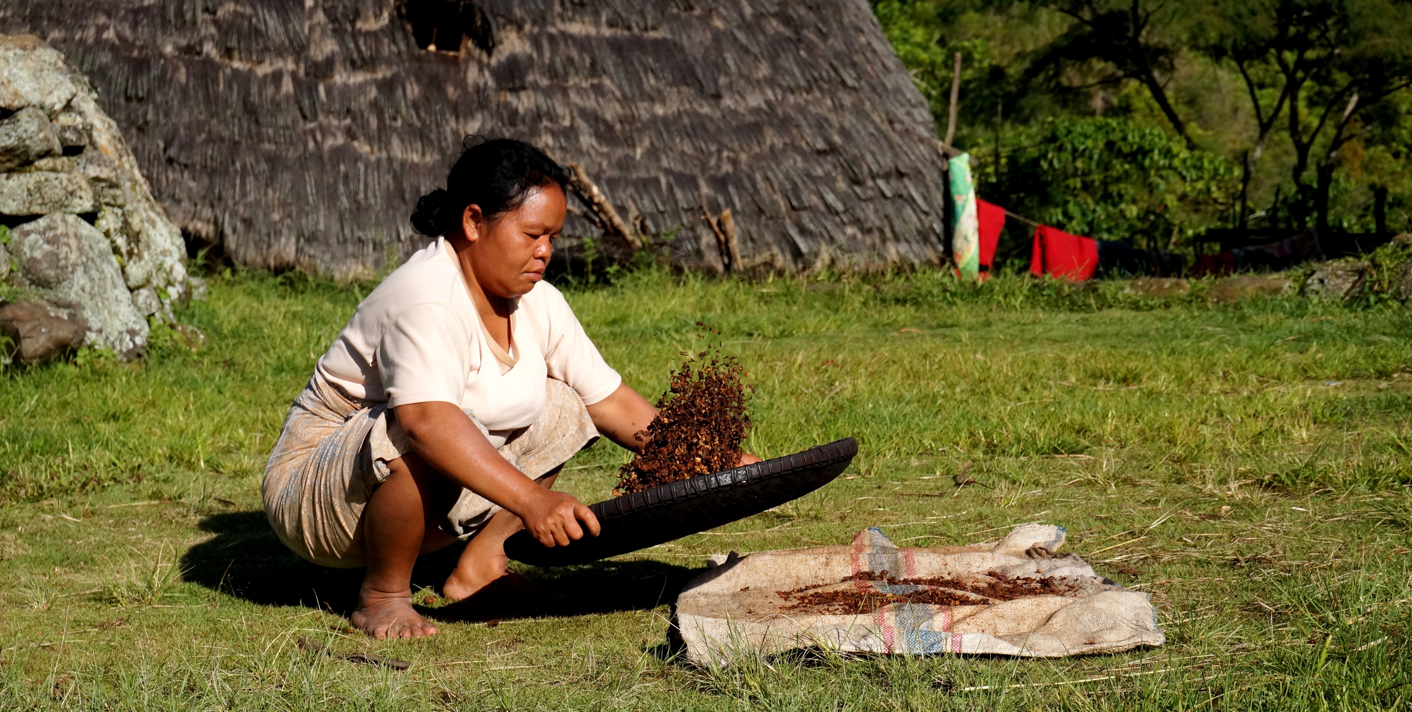 Wae Rebo Village