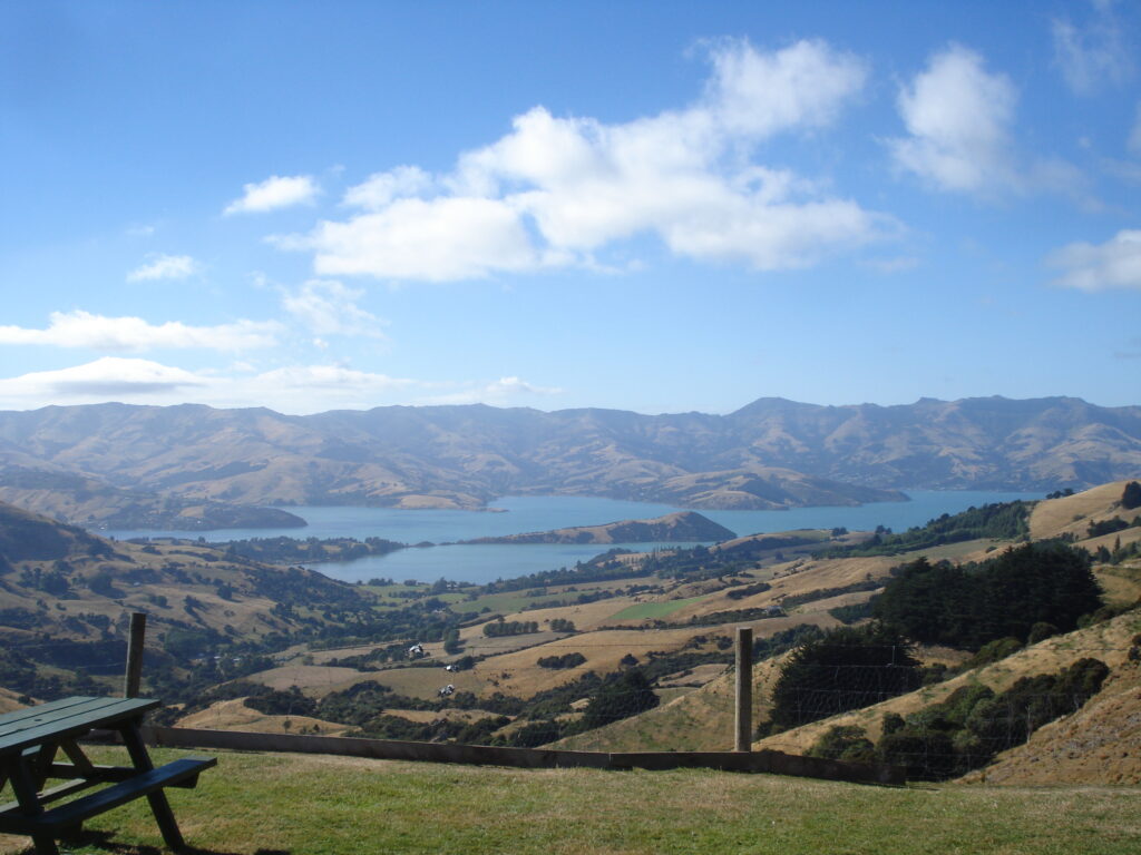 Akaroa Hector Dolphins