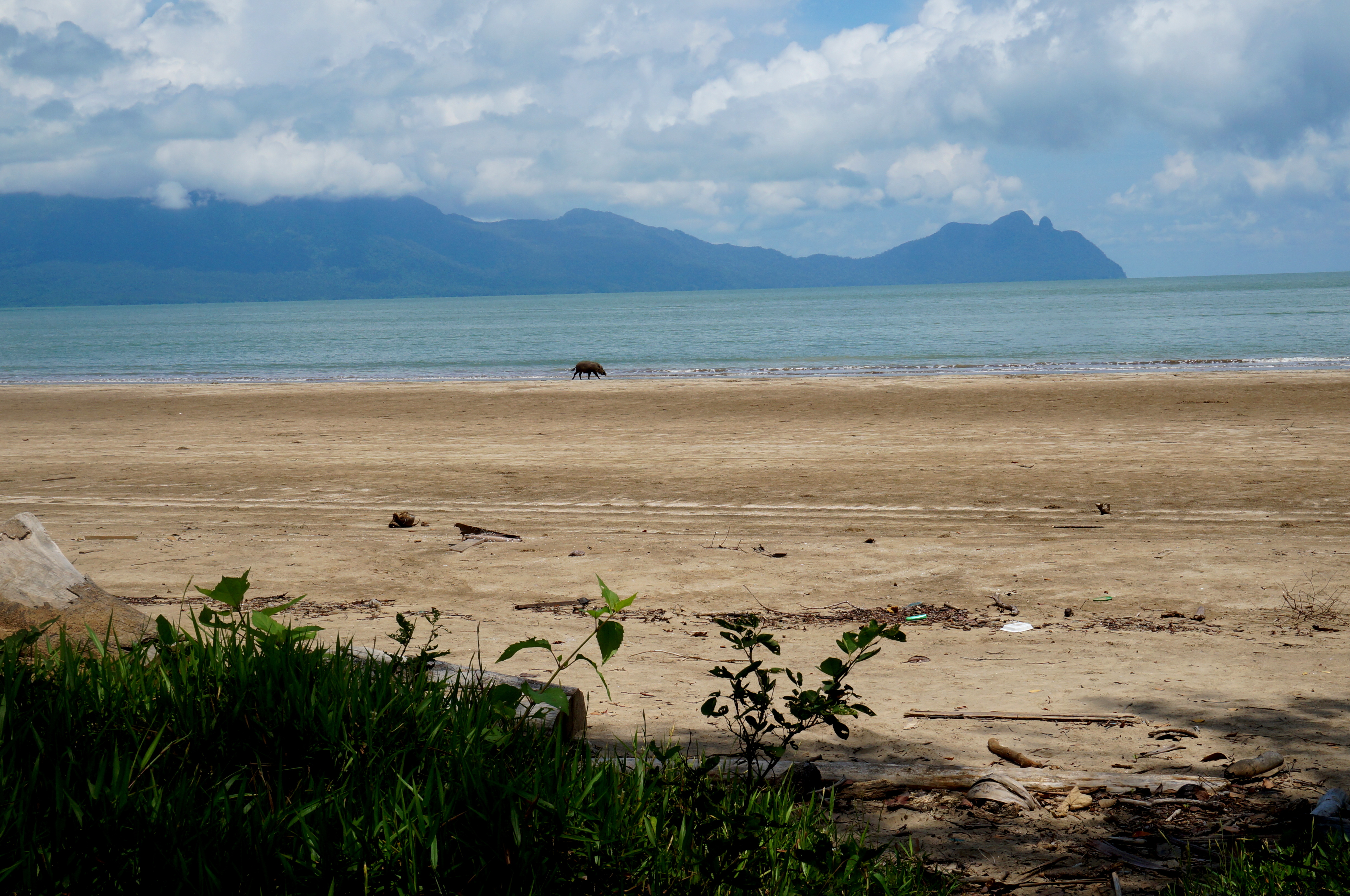 Bako National Park
