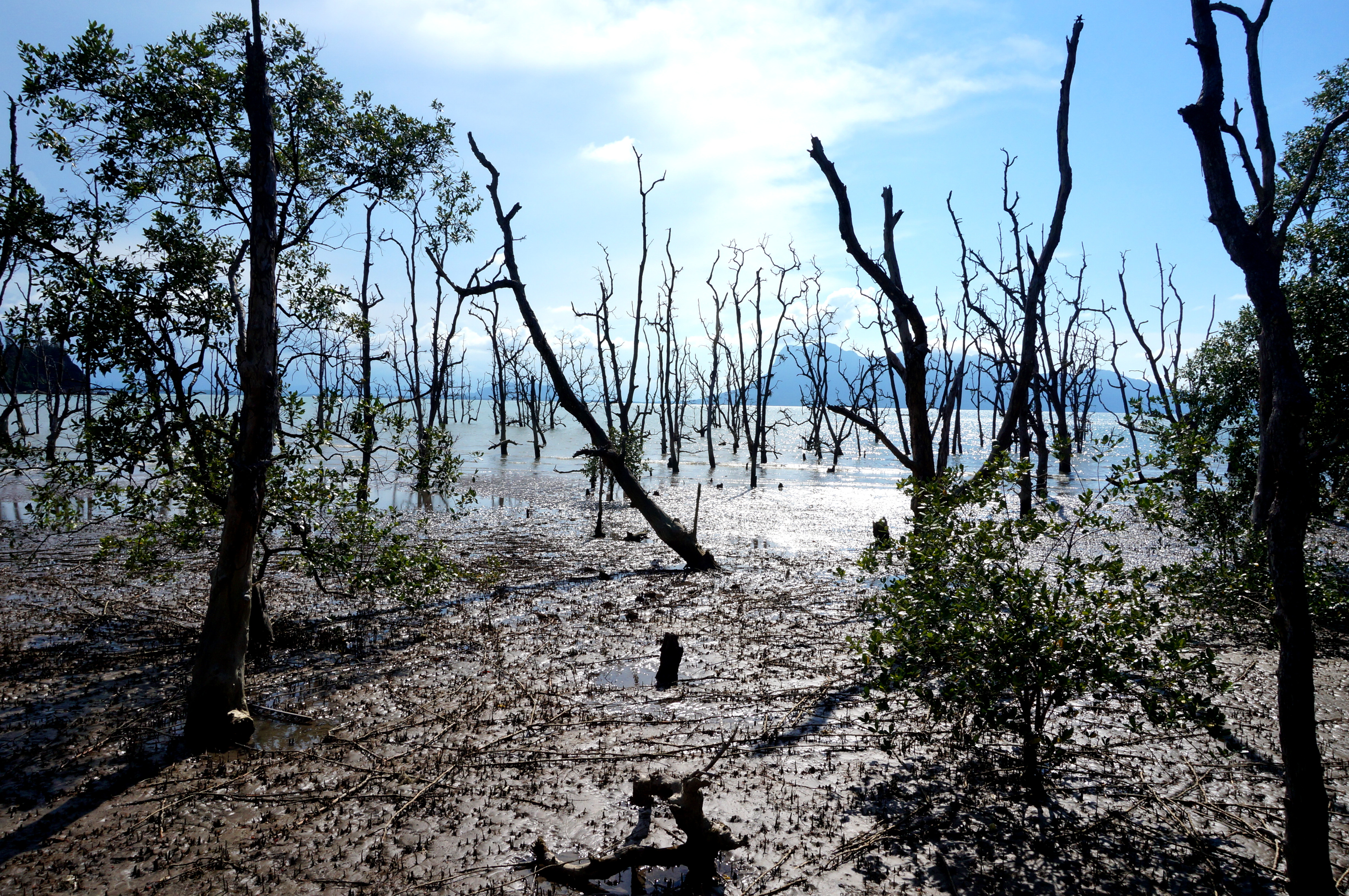 Bako National Park