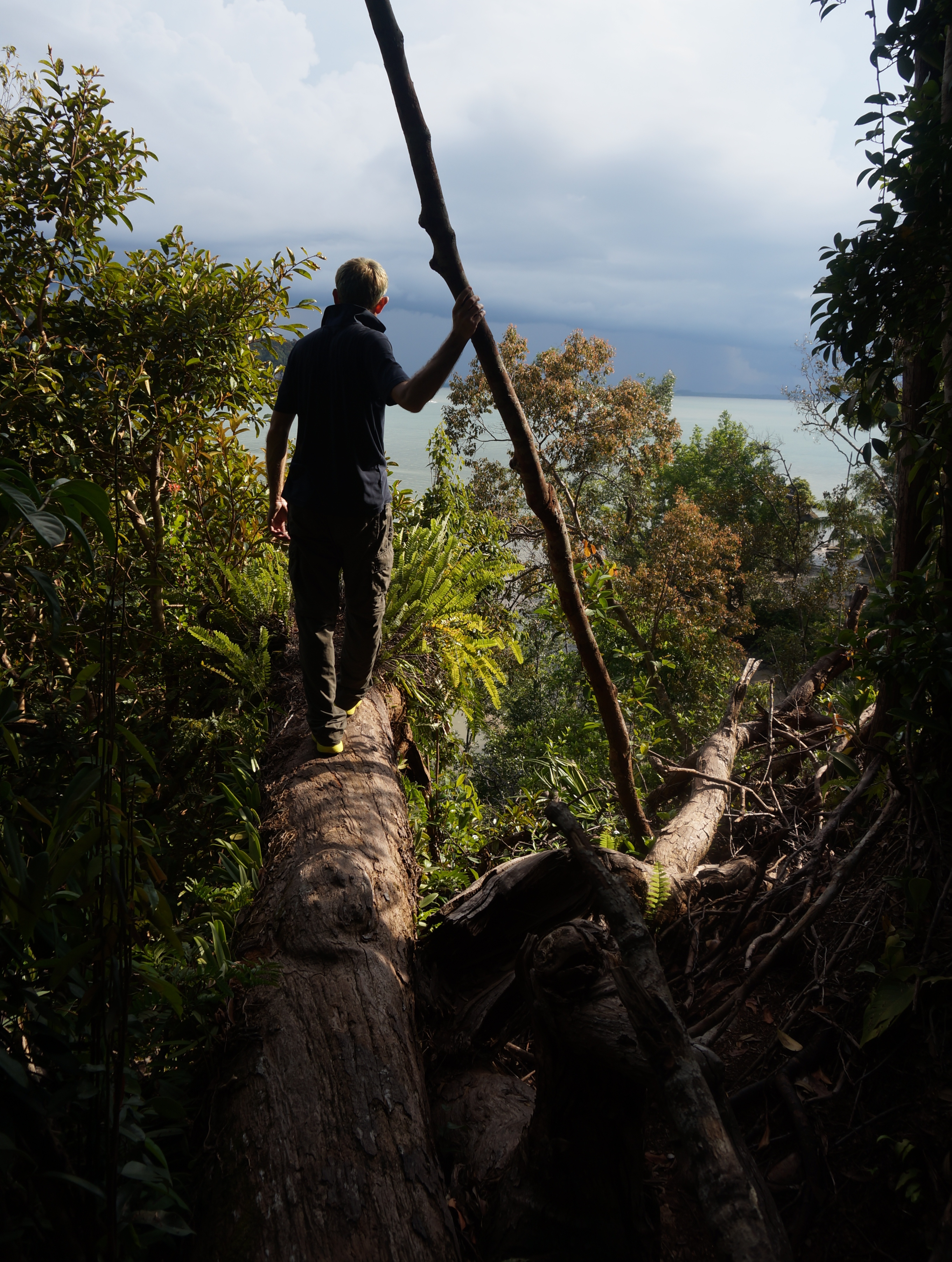 Bako National Park