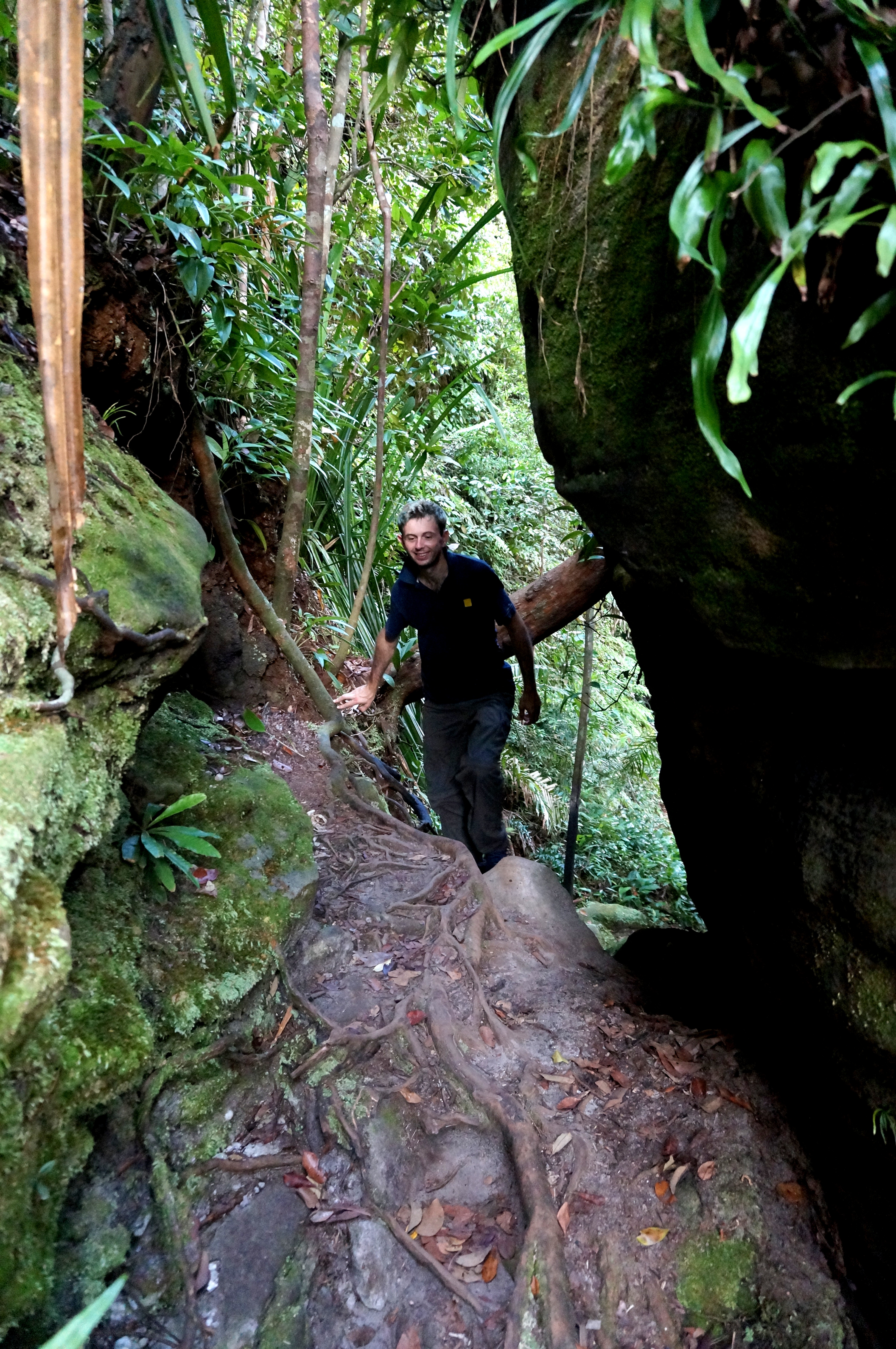 Bako National Park