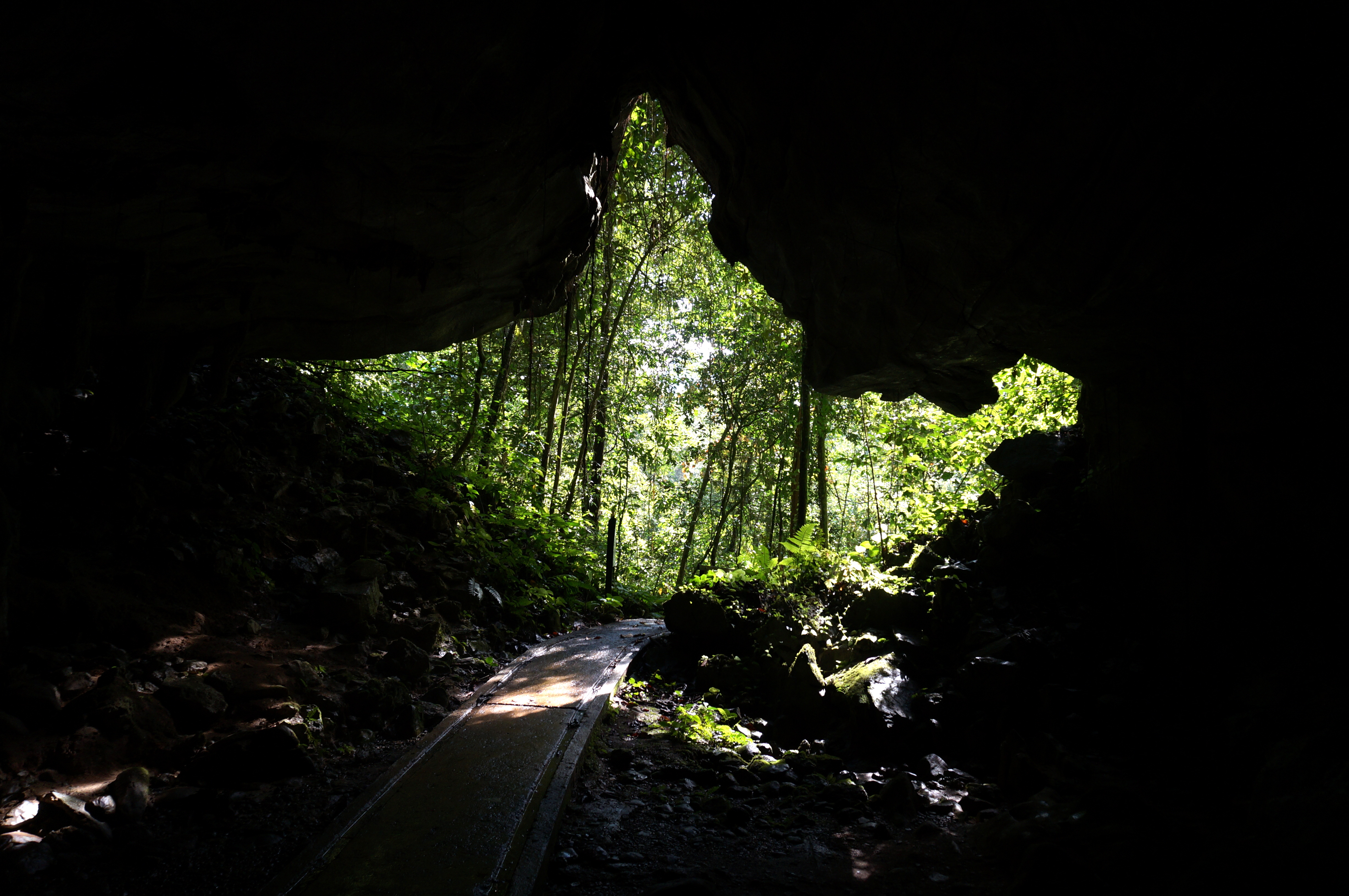 Mulu National Park