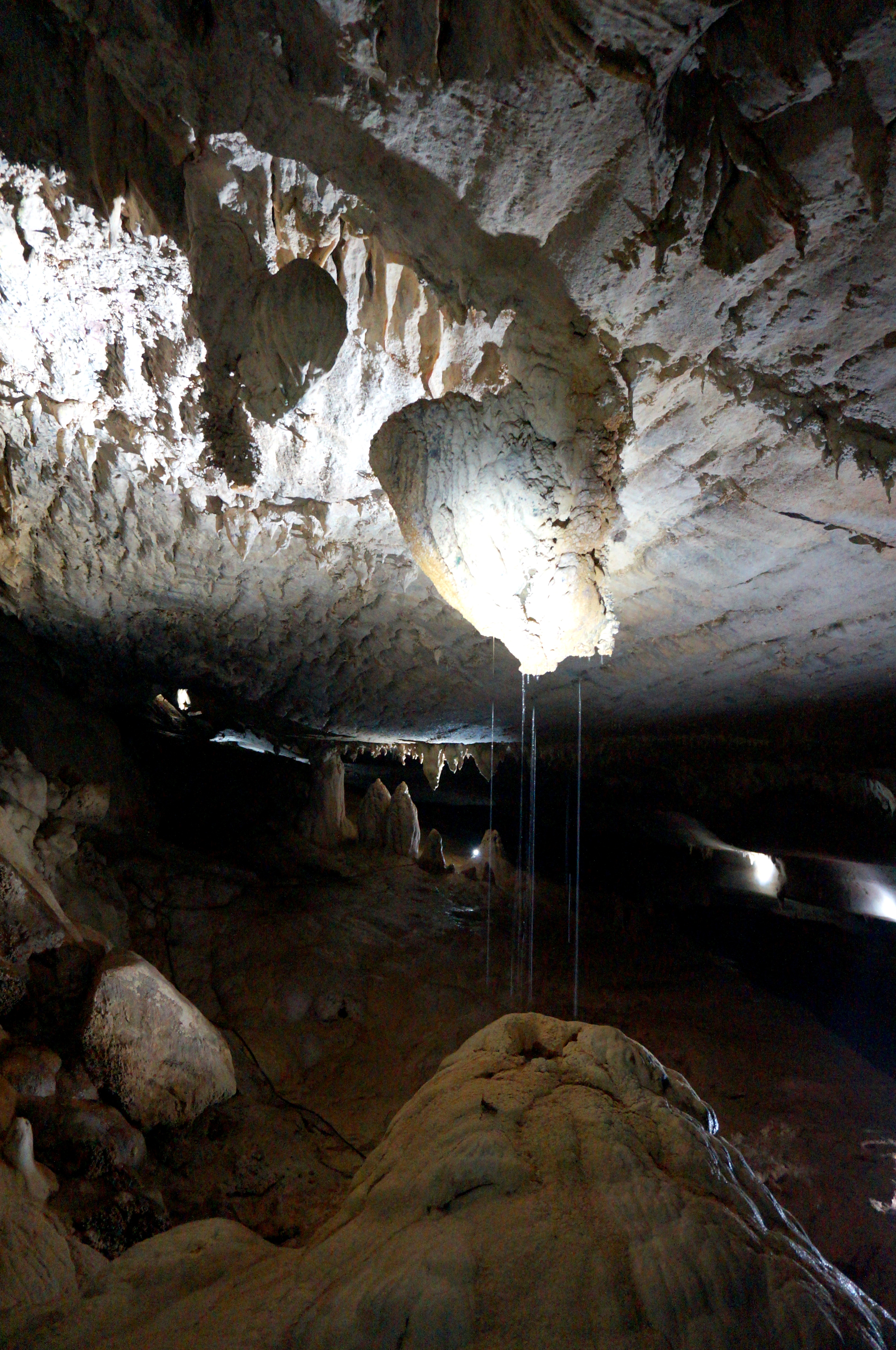 Mulu National Park