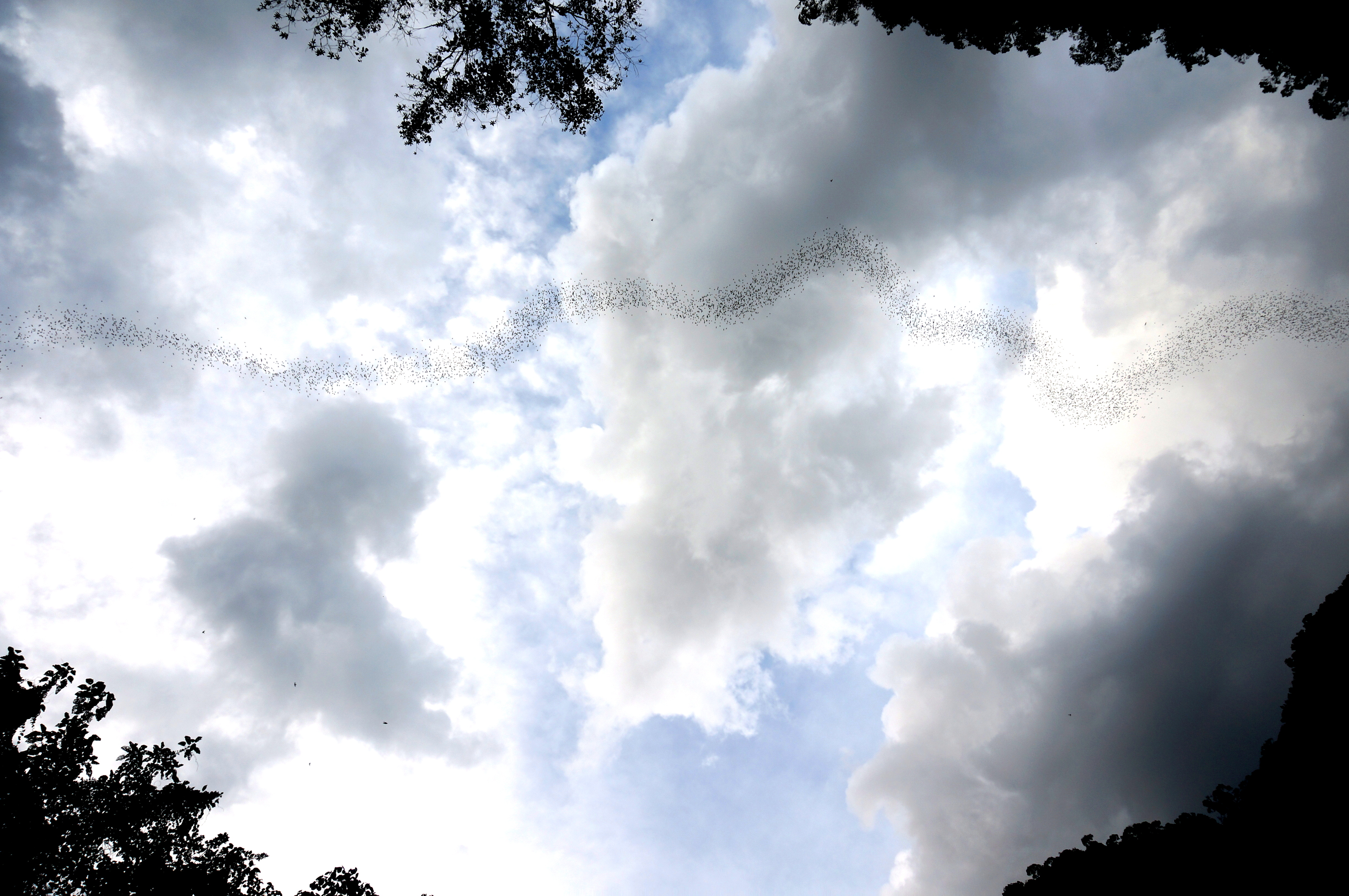 Mulu National Park