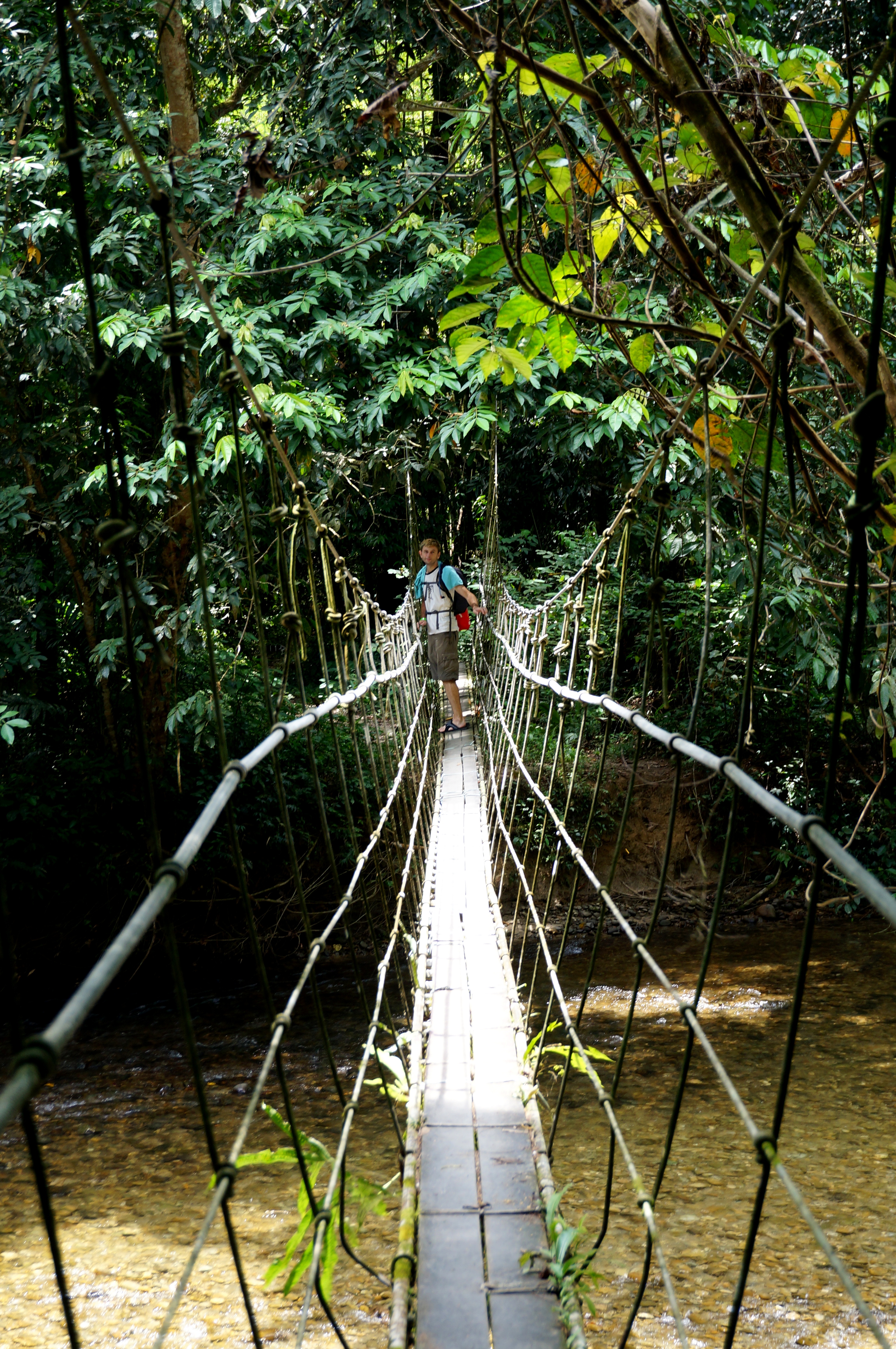 Mulu Pinnacles