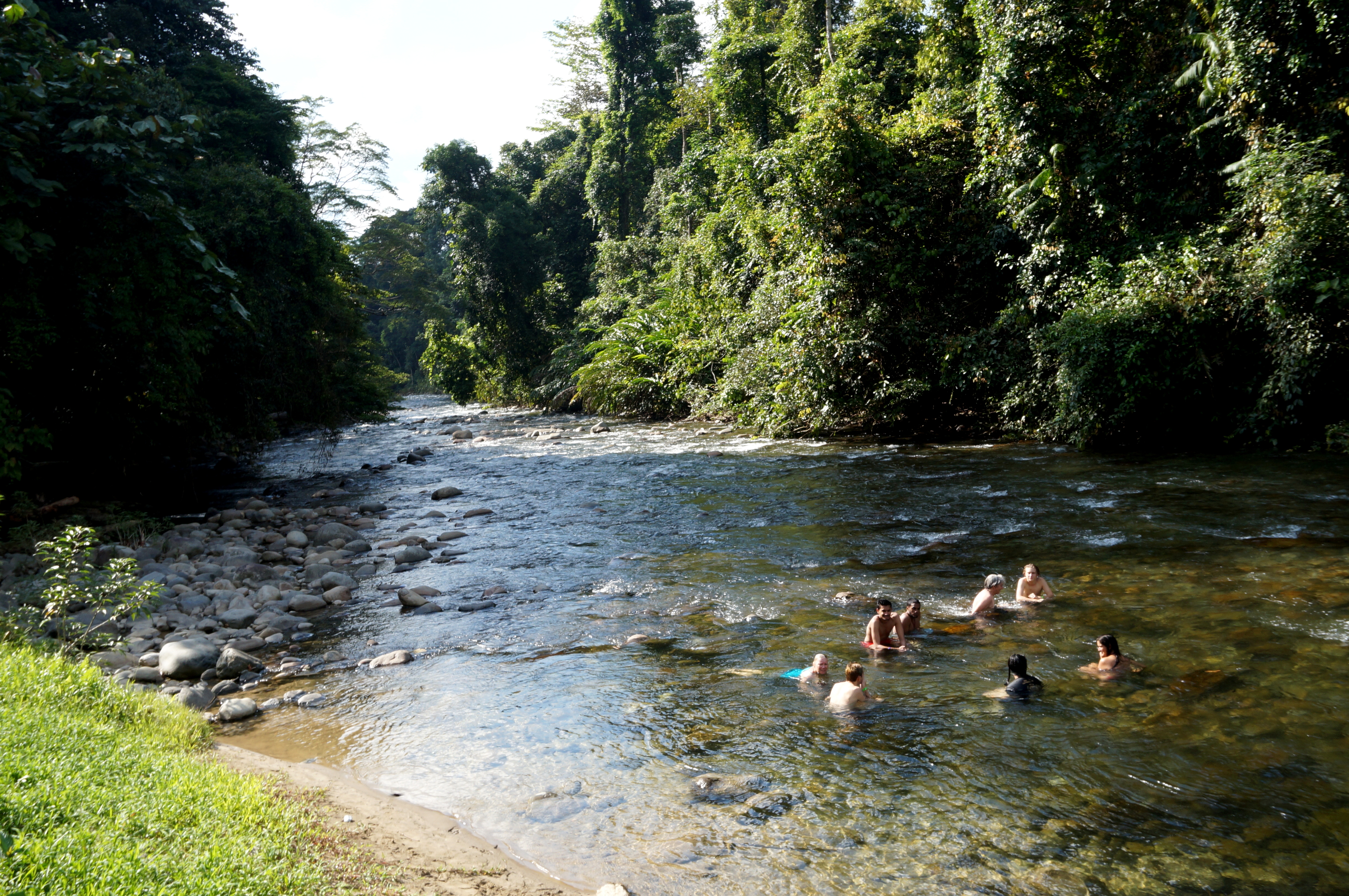 Mulu Pinnacles