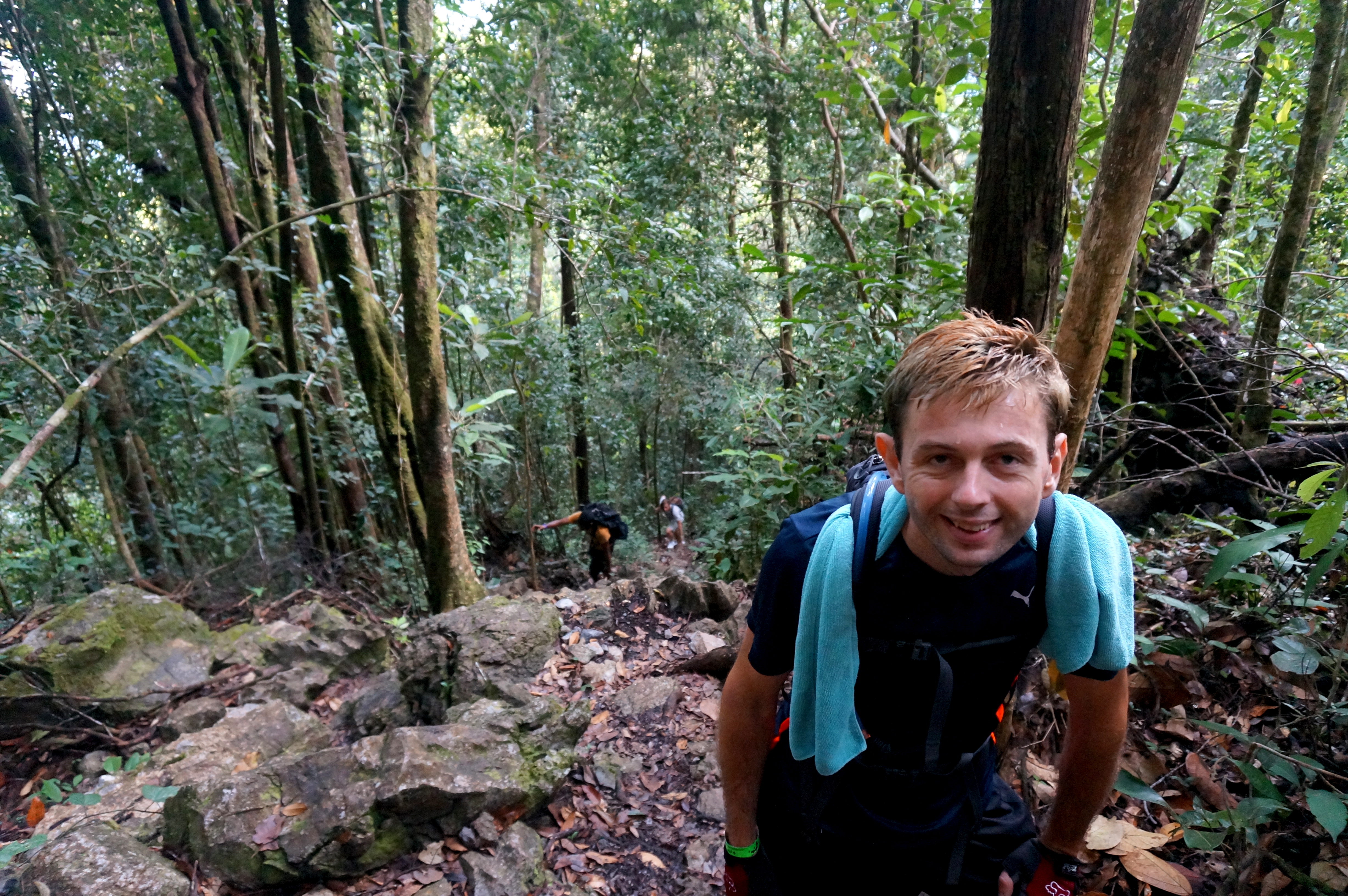 Mulu Pinnacles
