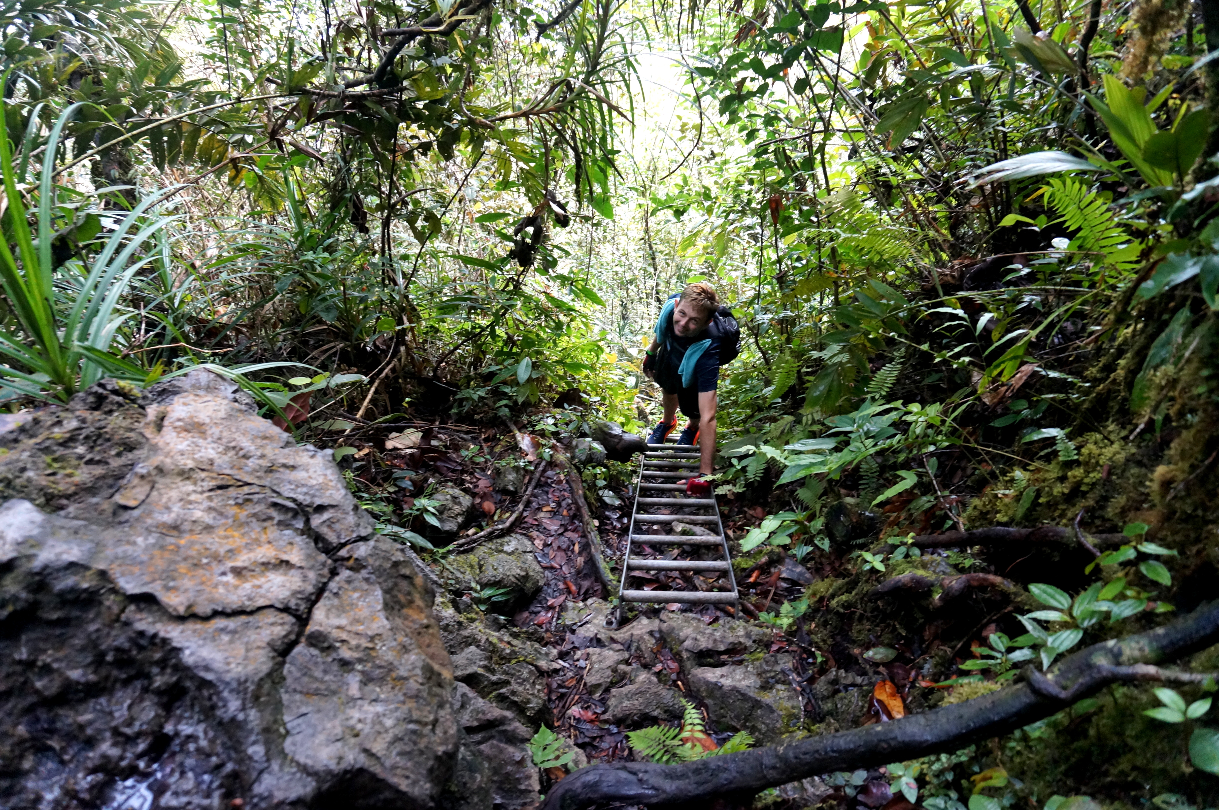 Mulu Pinnacles