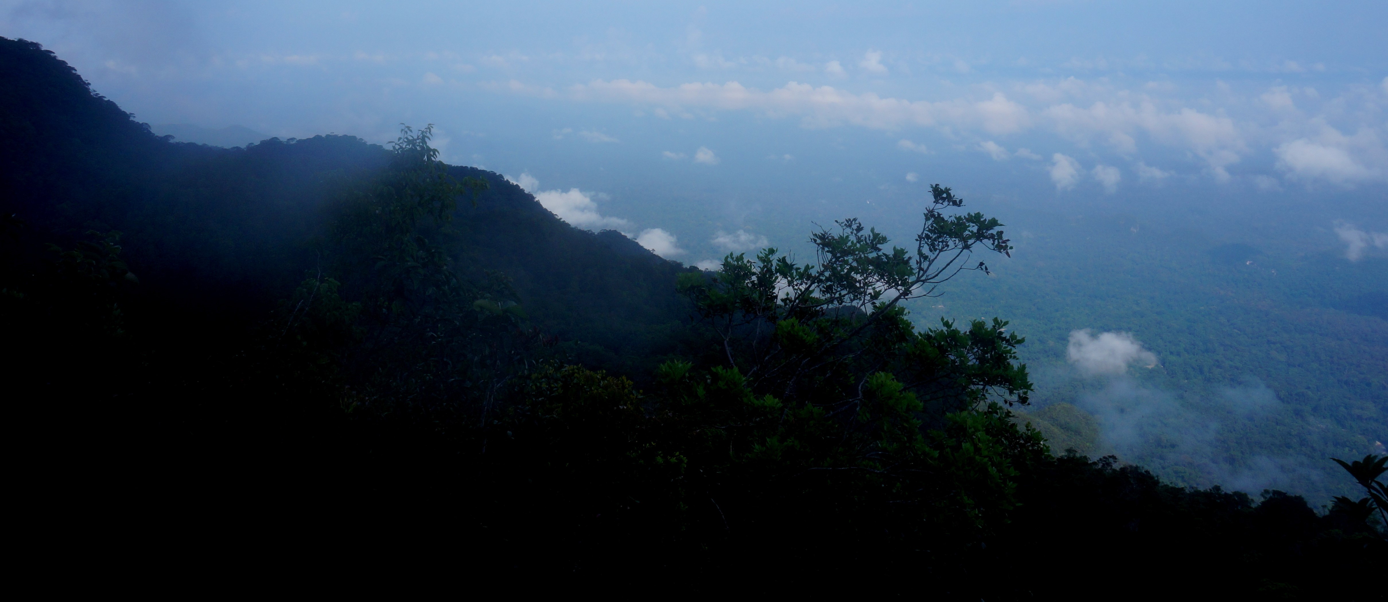 Mulu Pinnacles