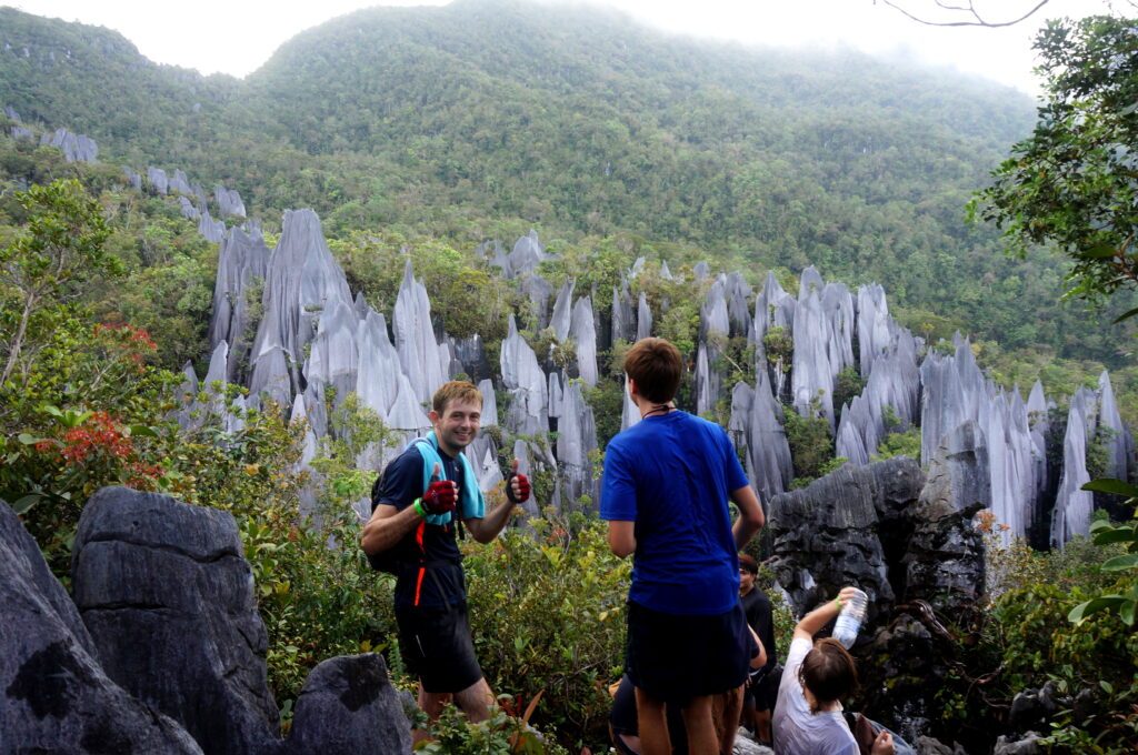 Mulu Pinnacles