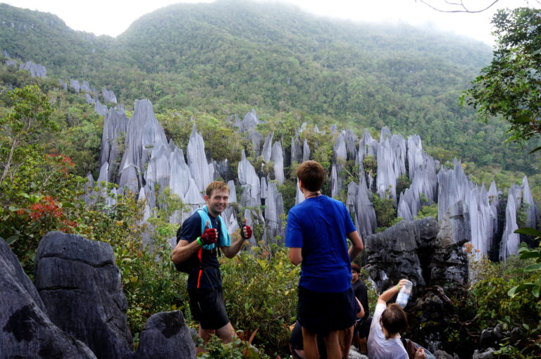 Mulu Pinnacles