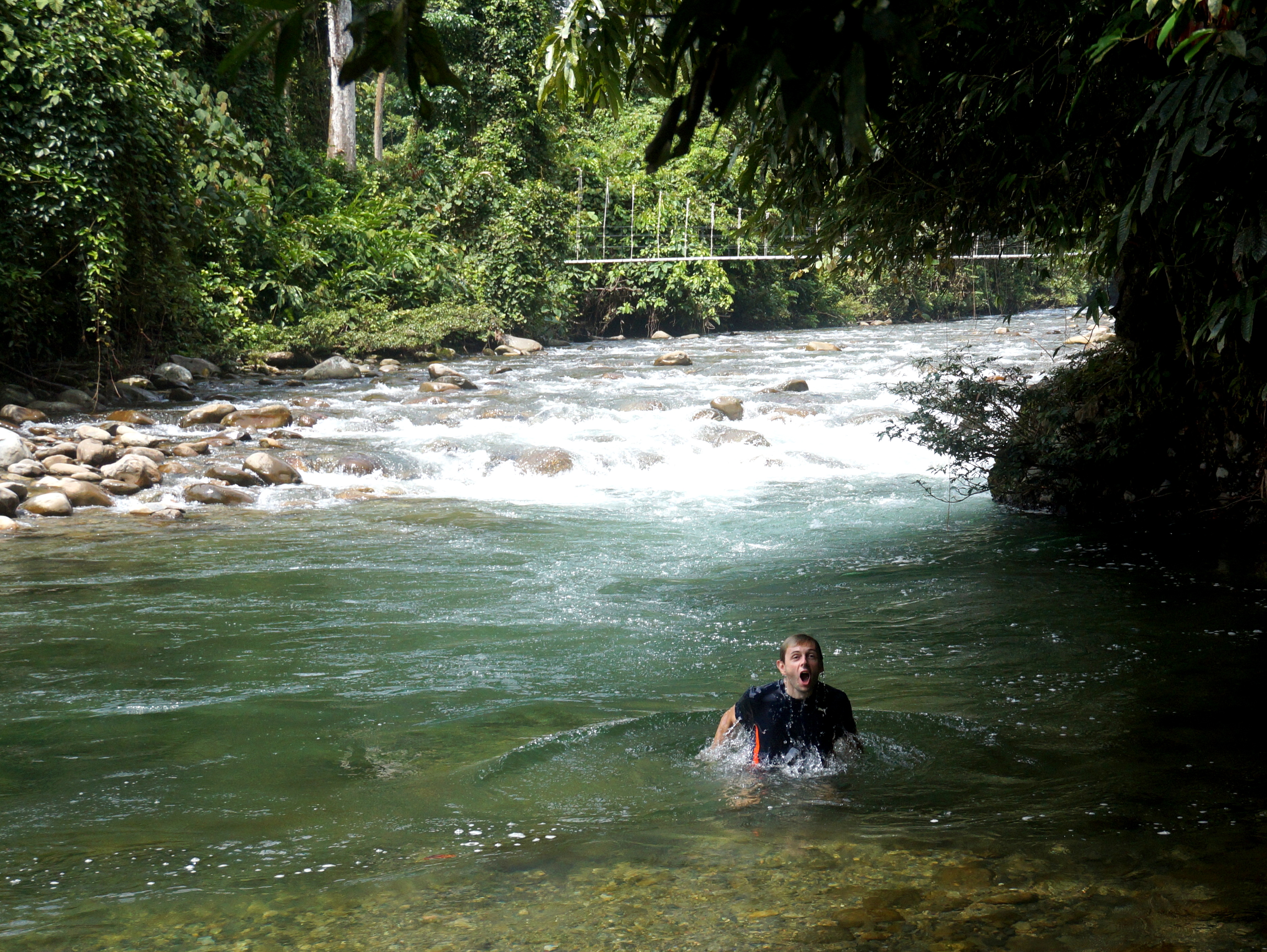 Mulu Pinnacles