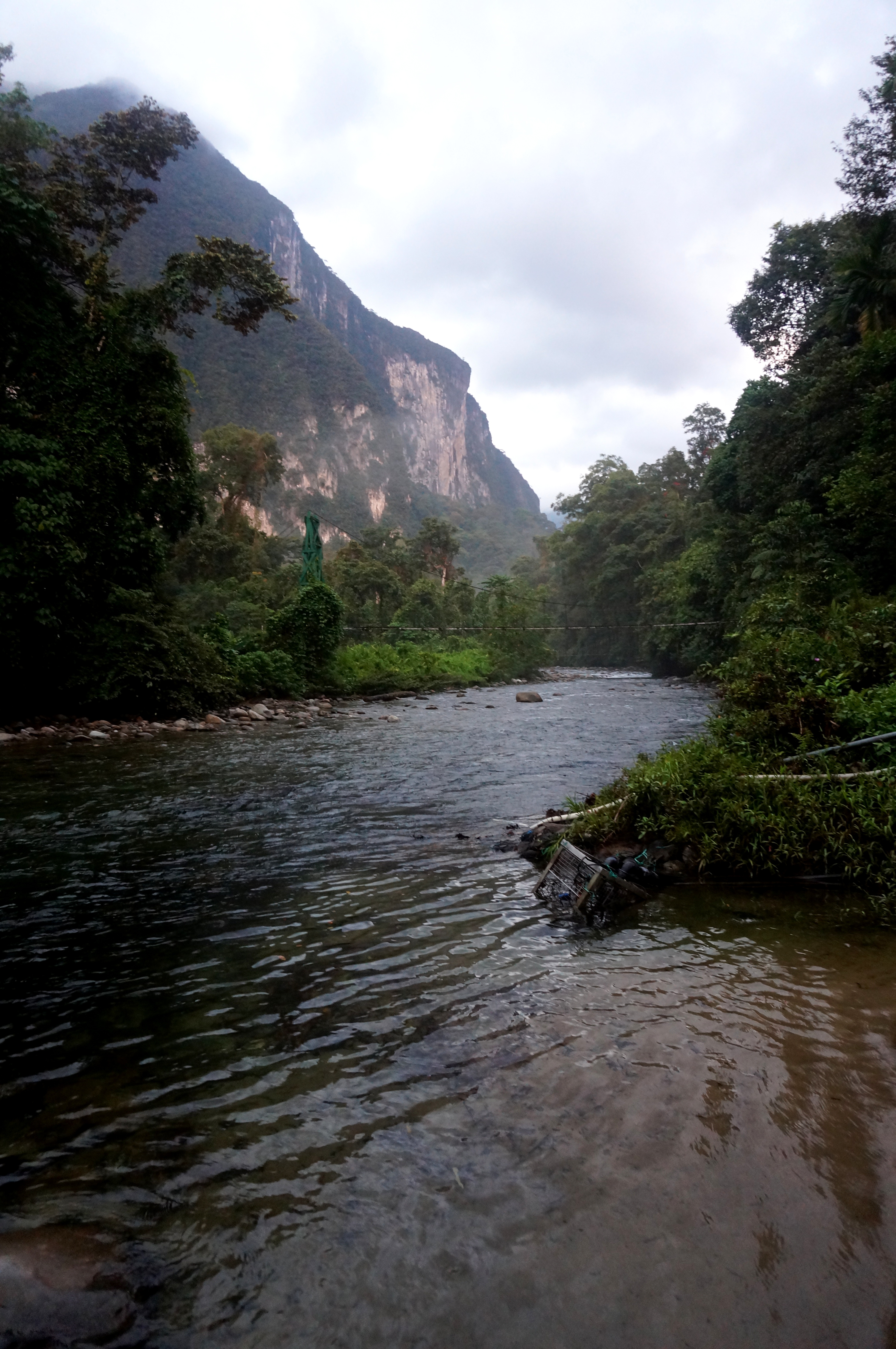 Mulu Pinnacles