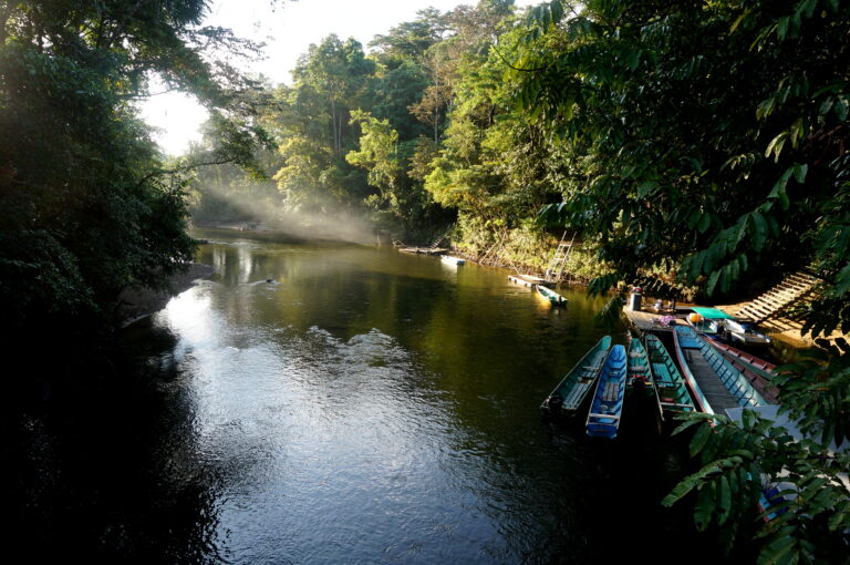 Mulu National Park