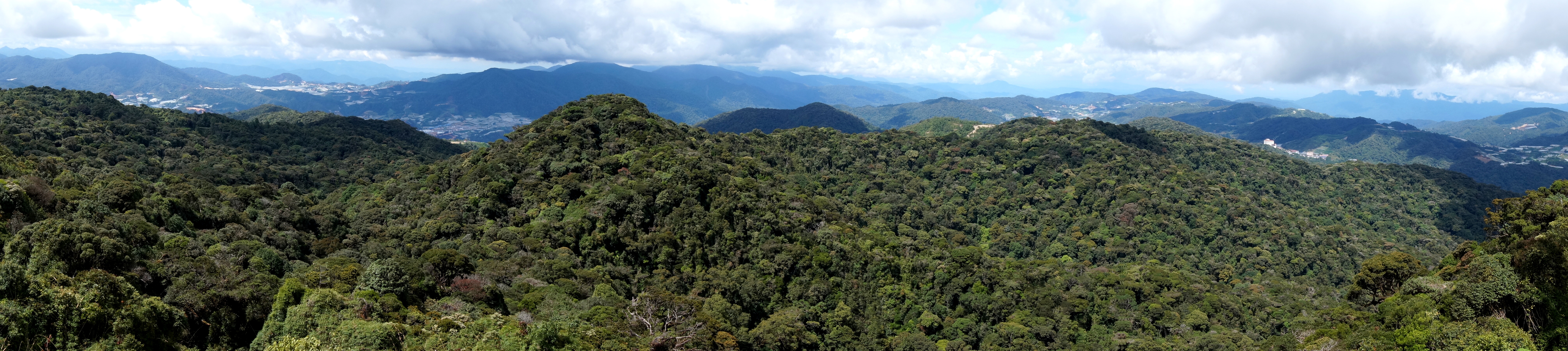 Tanah Rata
