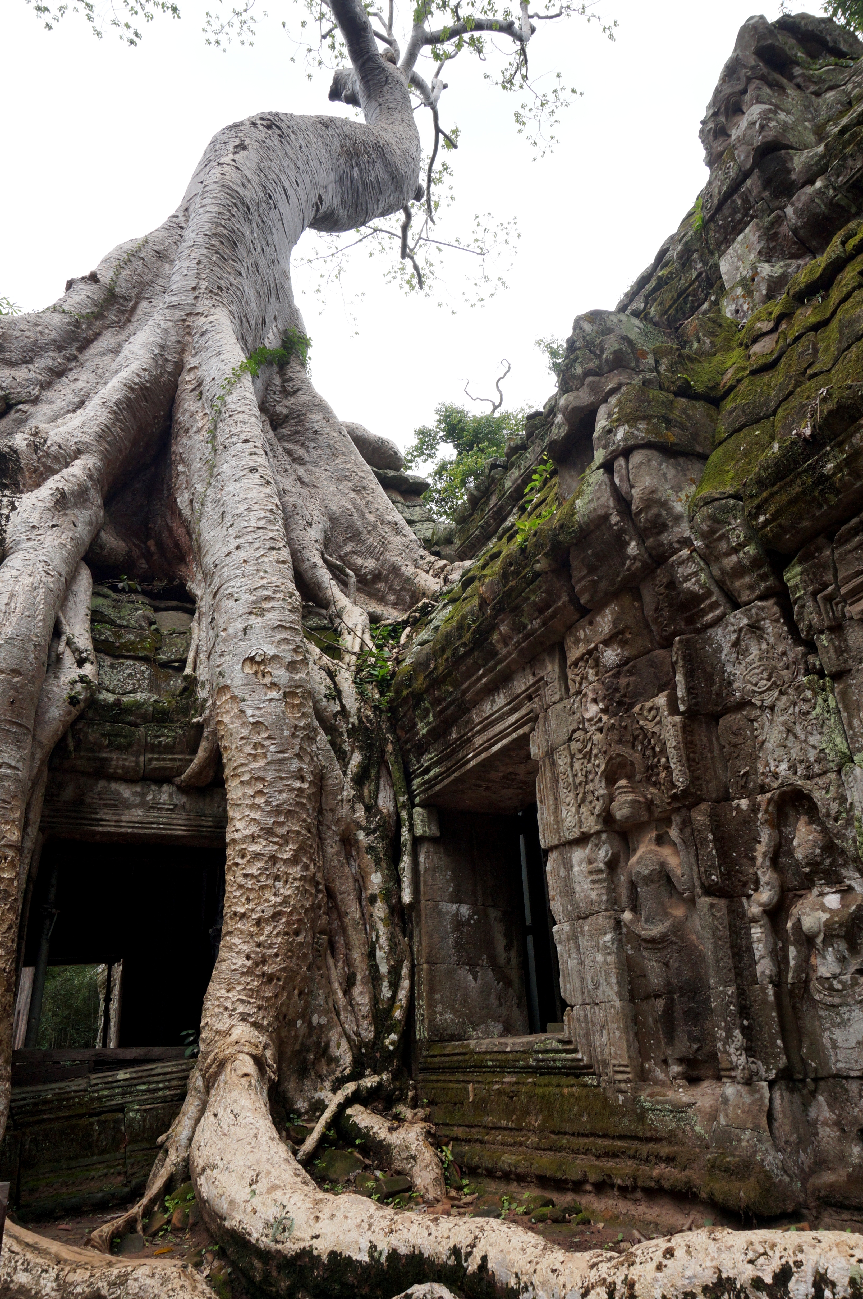 Angkor Wat
