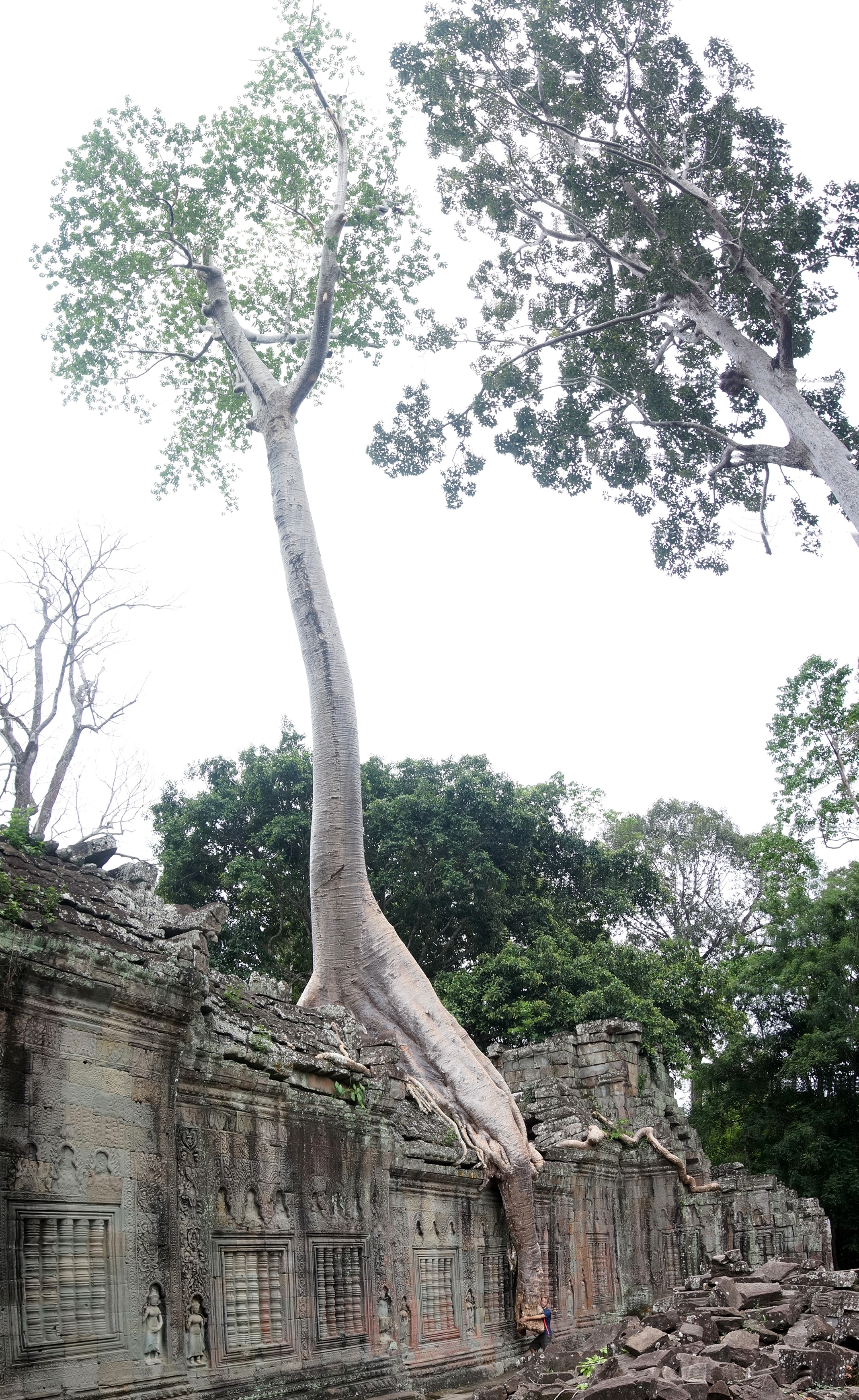 Angkor Wat