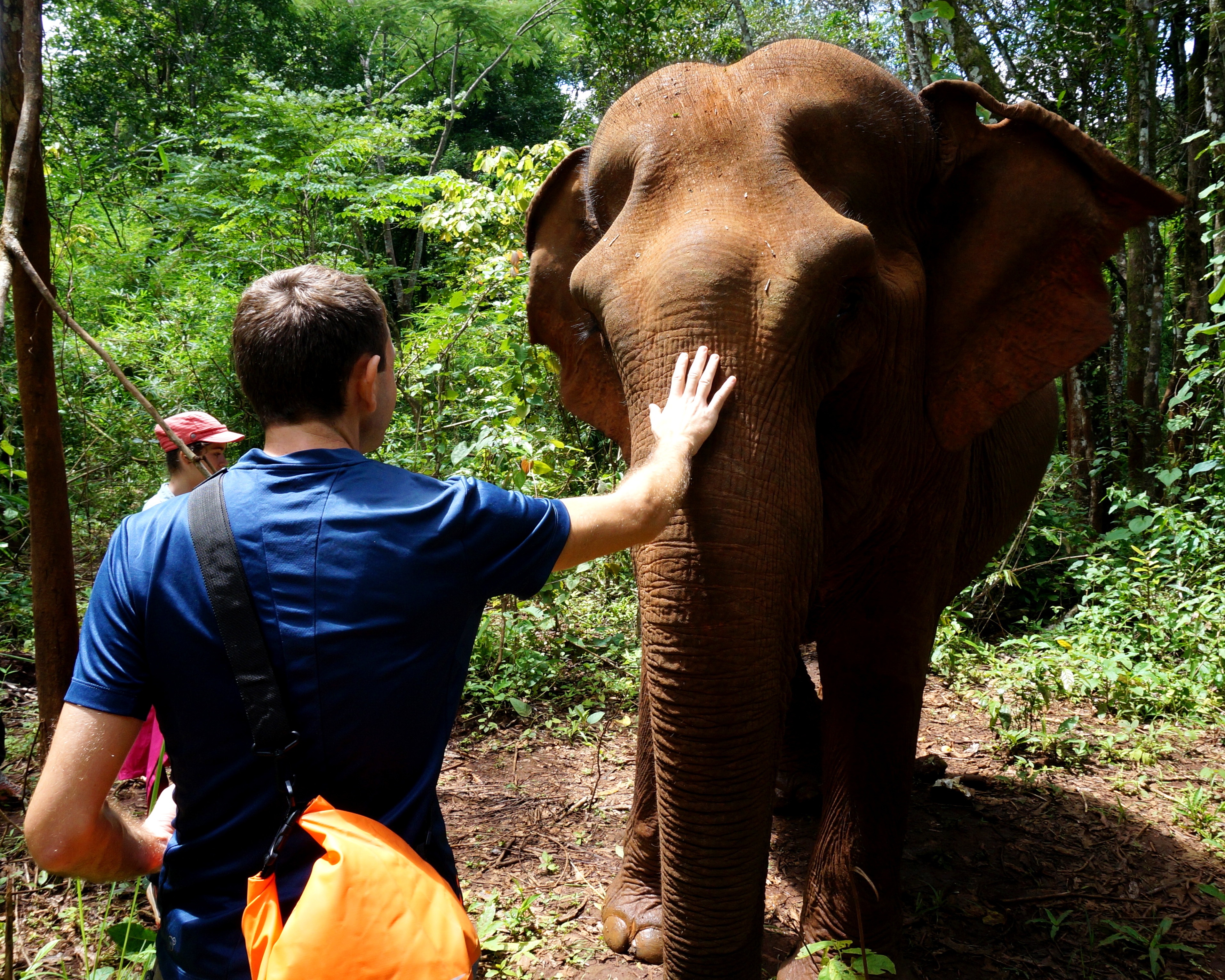 Sen Monorom Elephant Valley Project