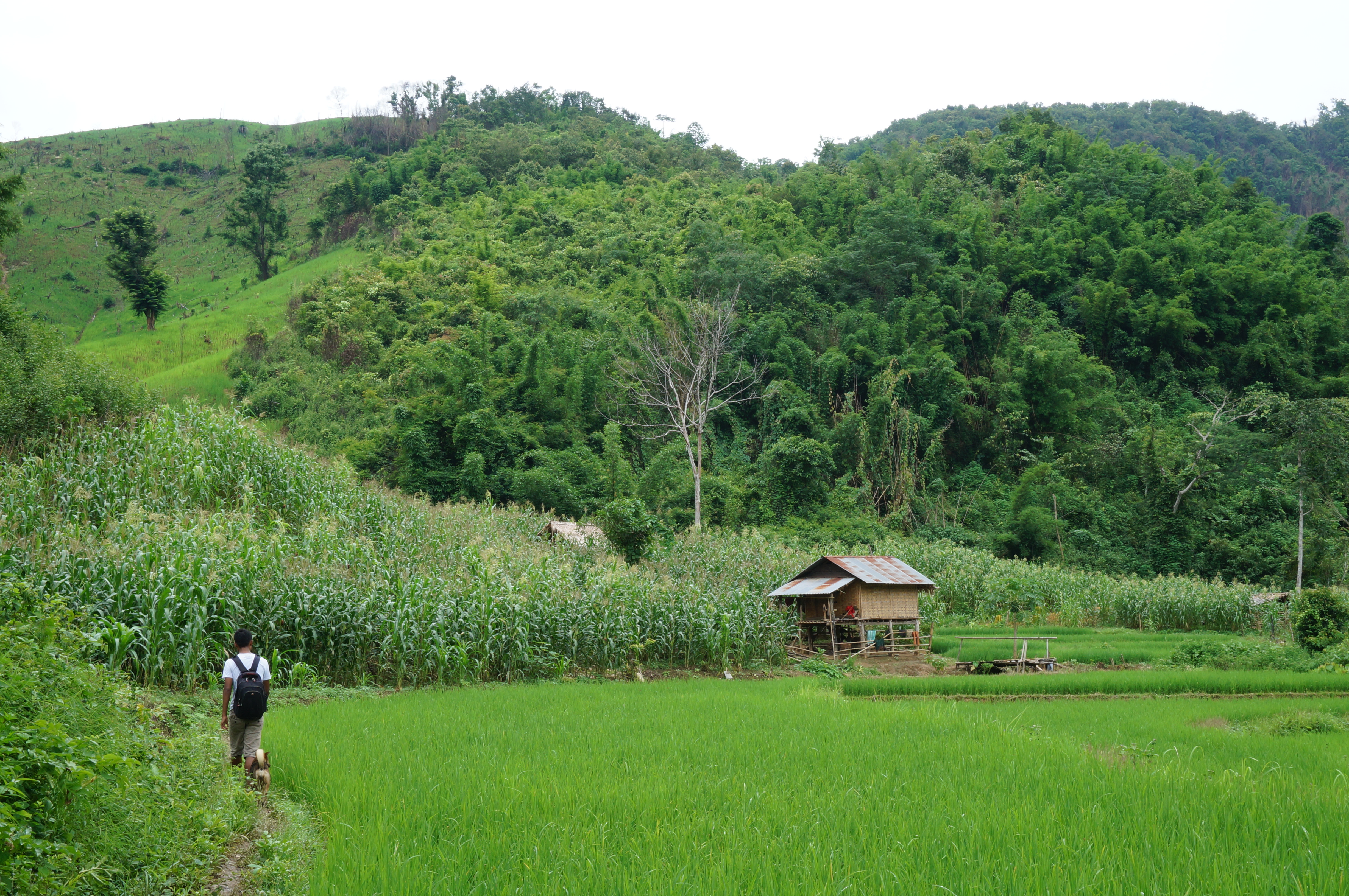Nong Khiaw, 100 Waterfalls