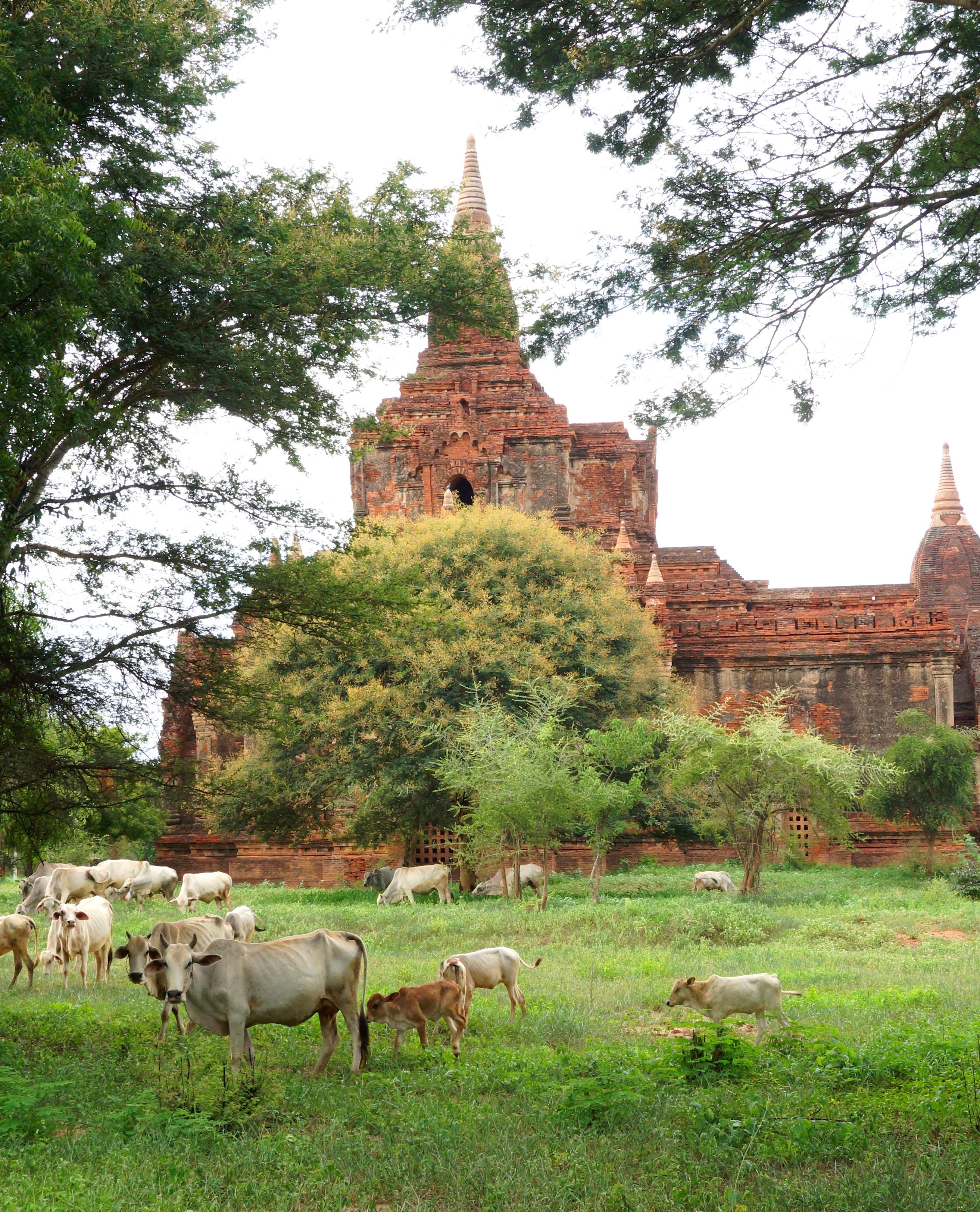 Bagan