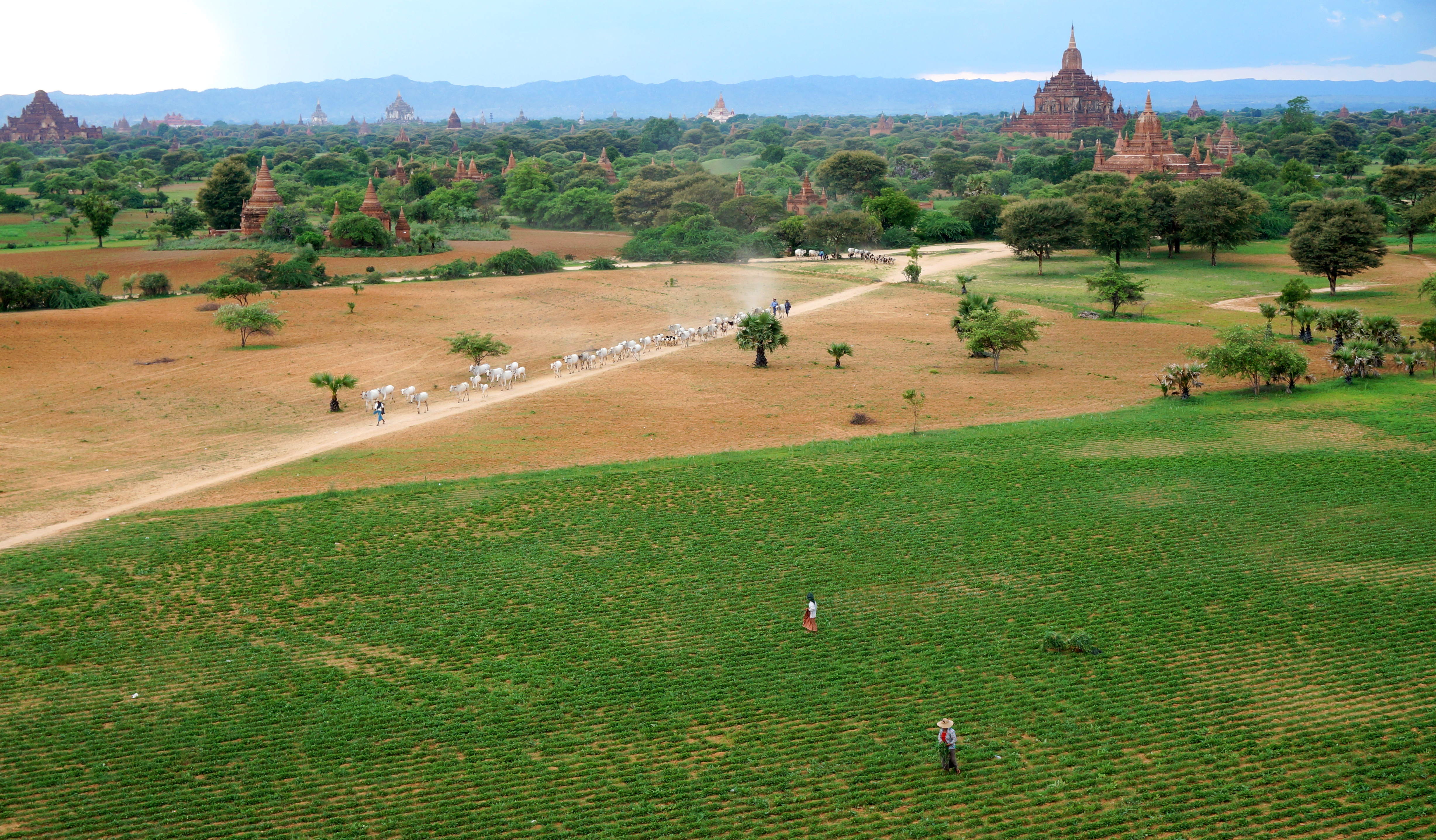 Bagan
