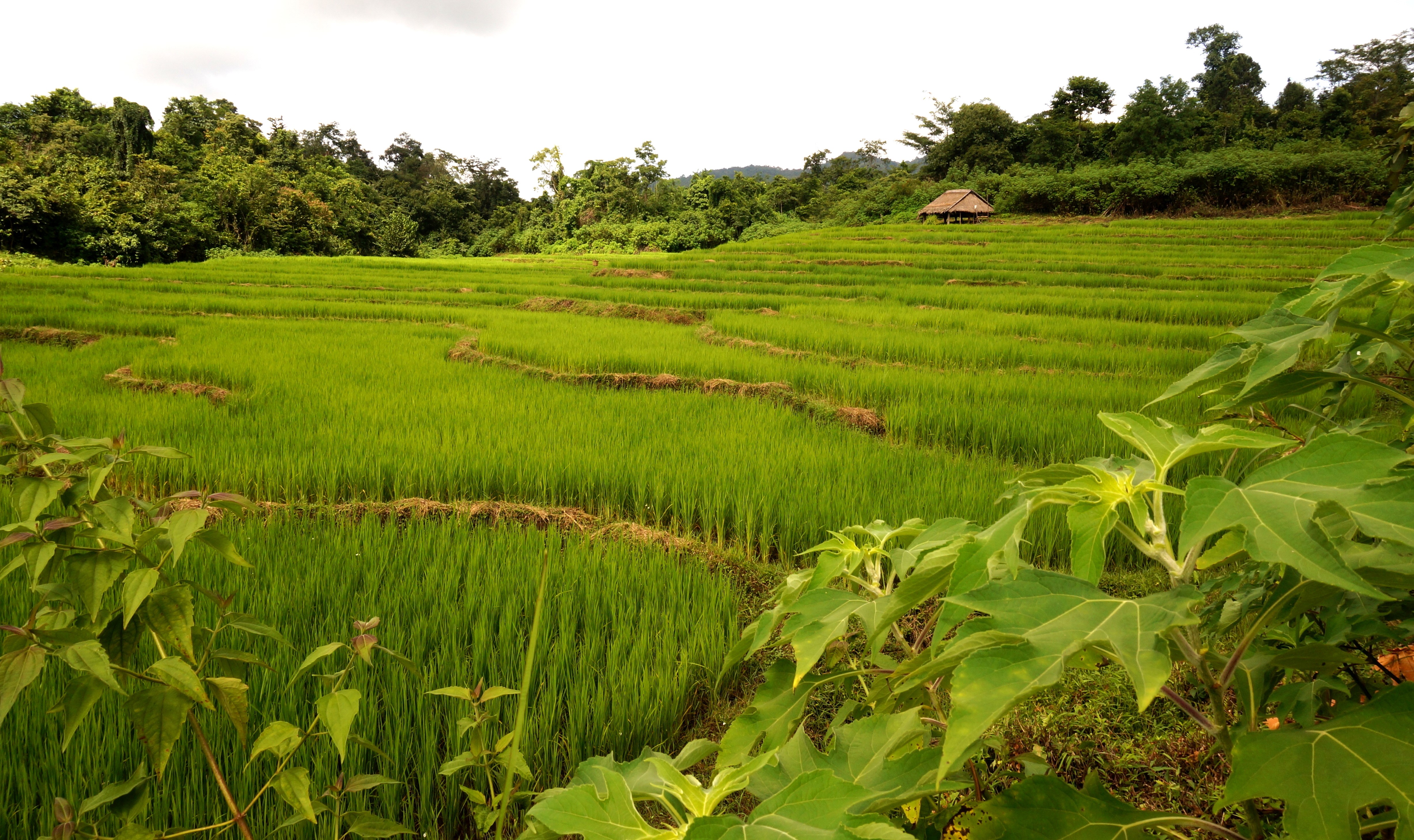 Hsipaw