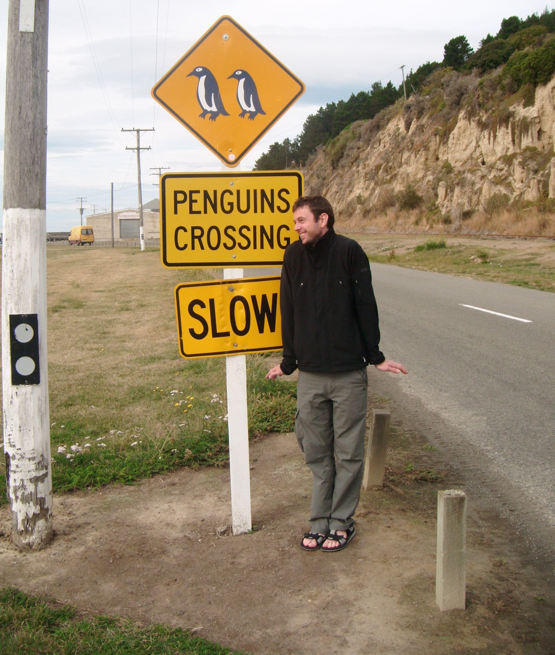 Oamaru Blue Penguin Colony