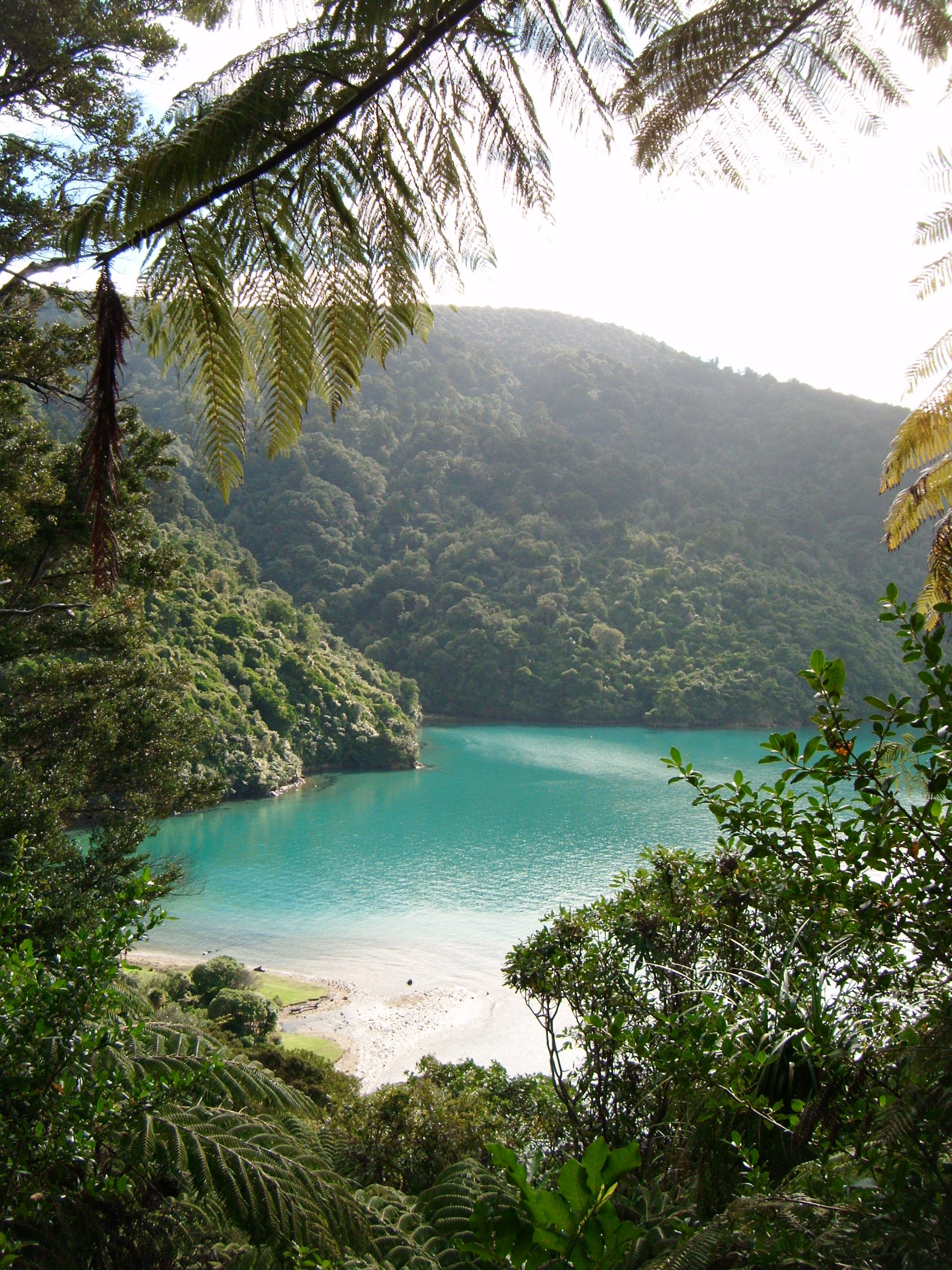 Queen Charlotte Track