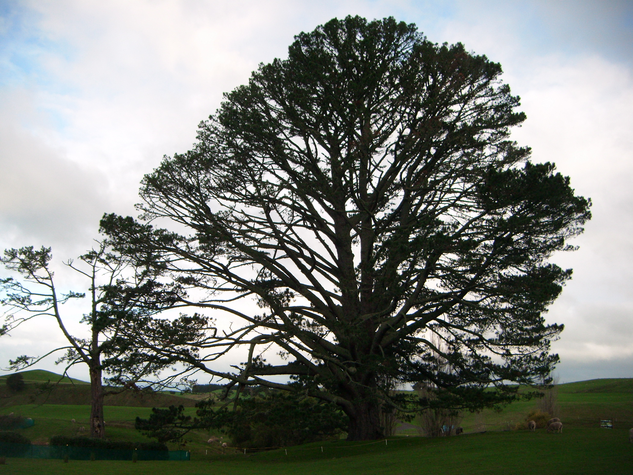 Hobbiton