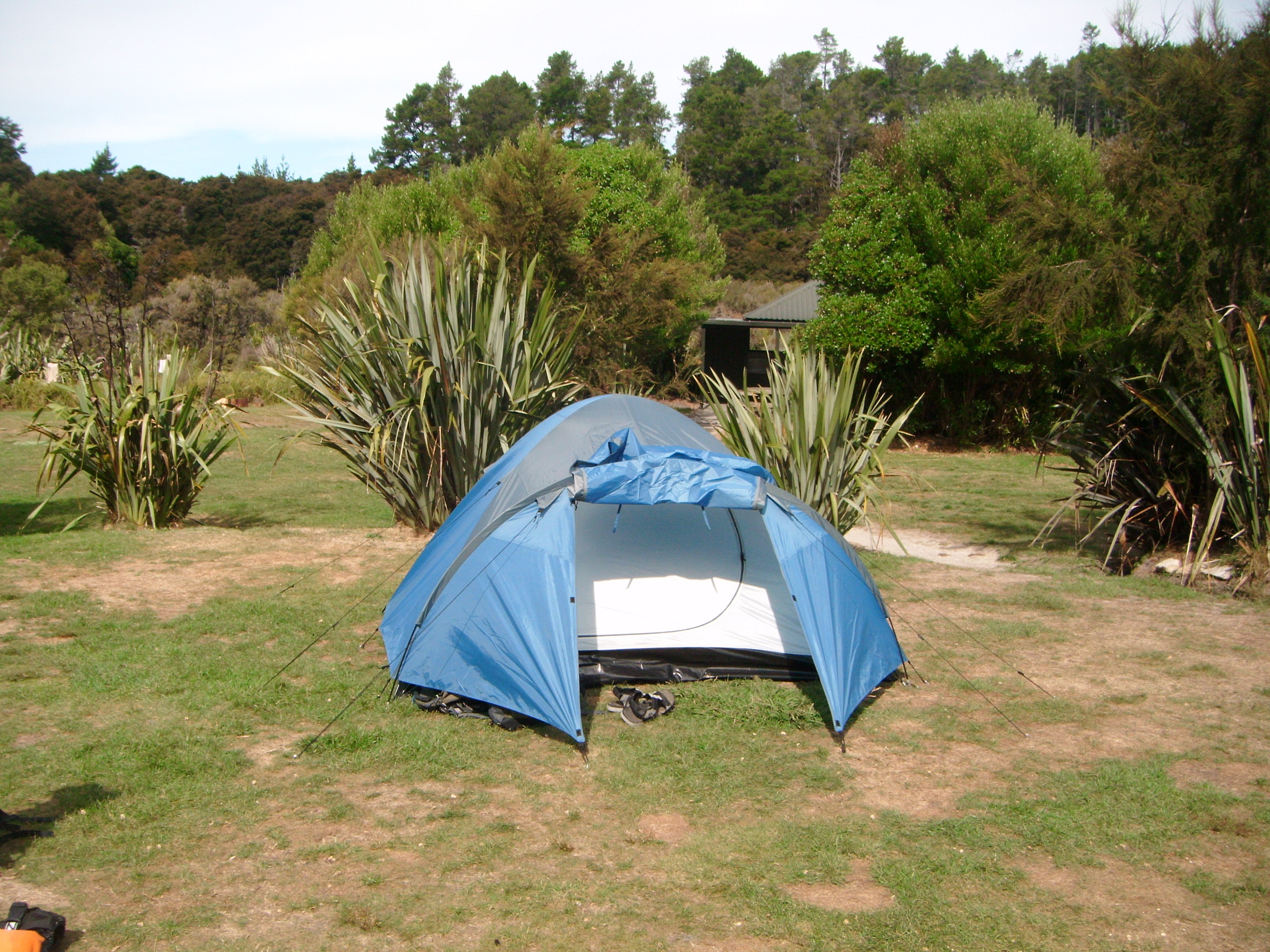 Abel Tasman