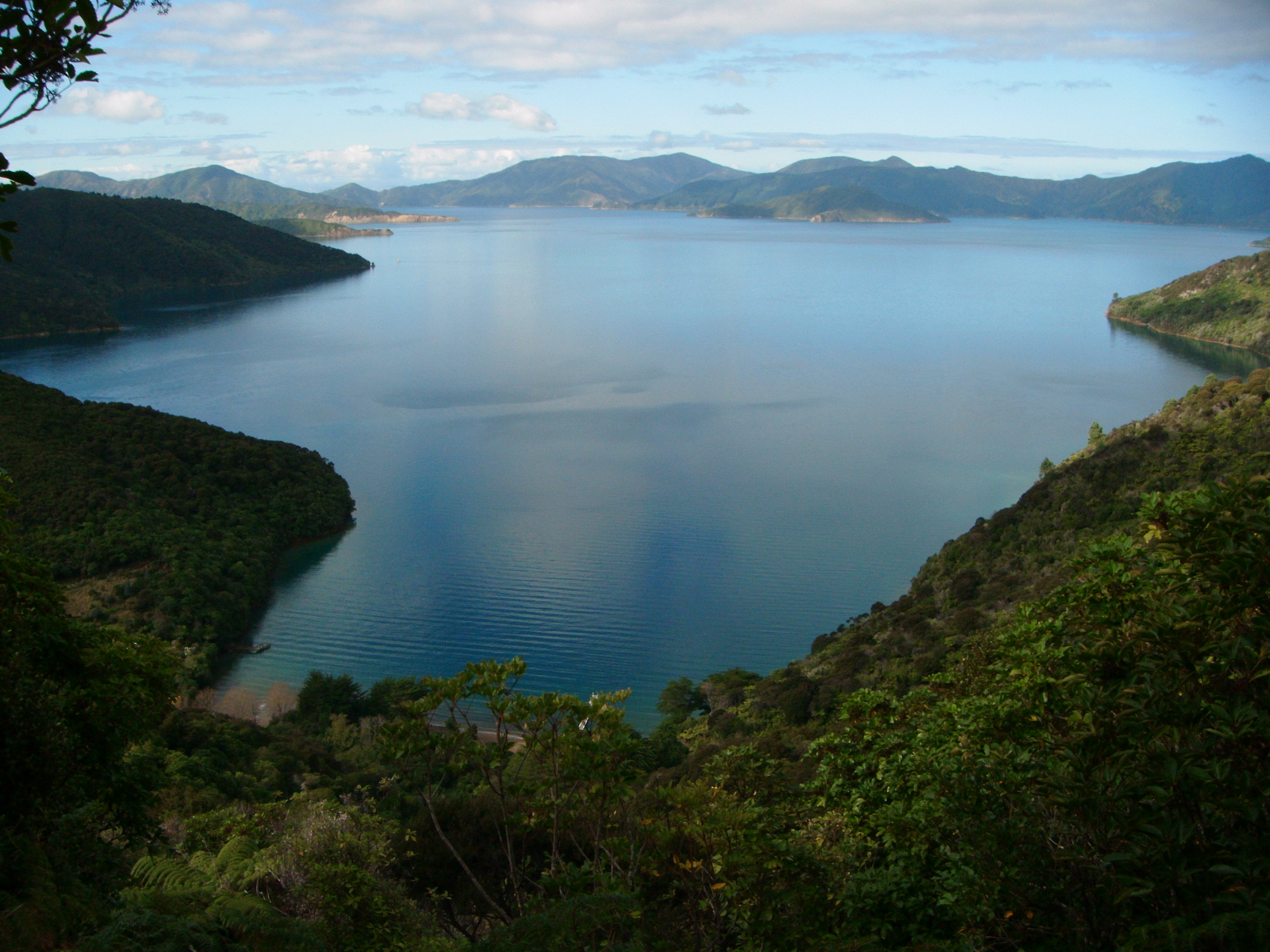 Queen Charlotte Track
