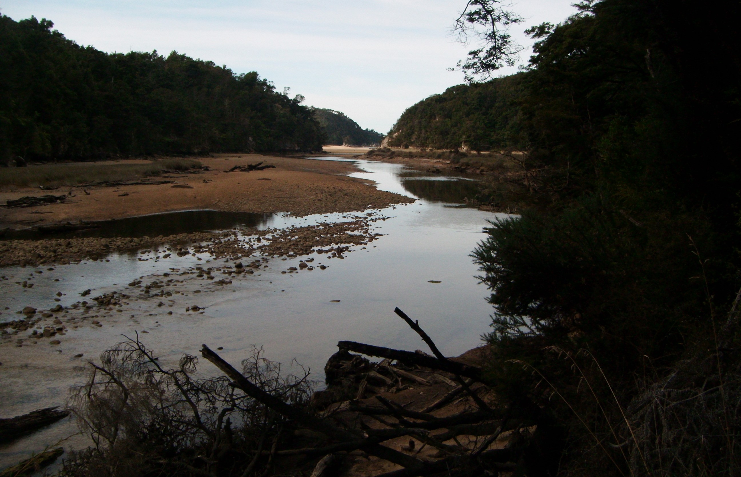 Abel Tasman
