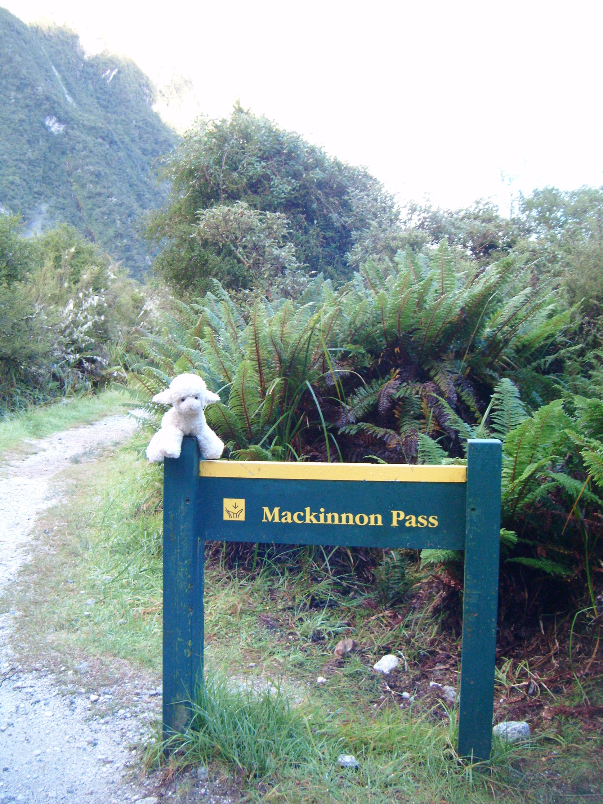 Milford Track
