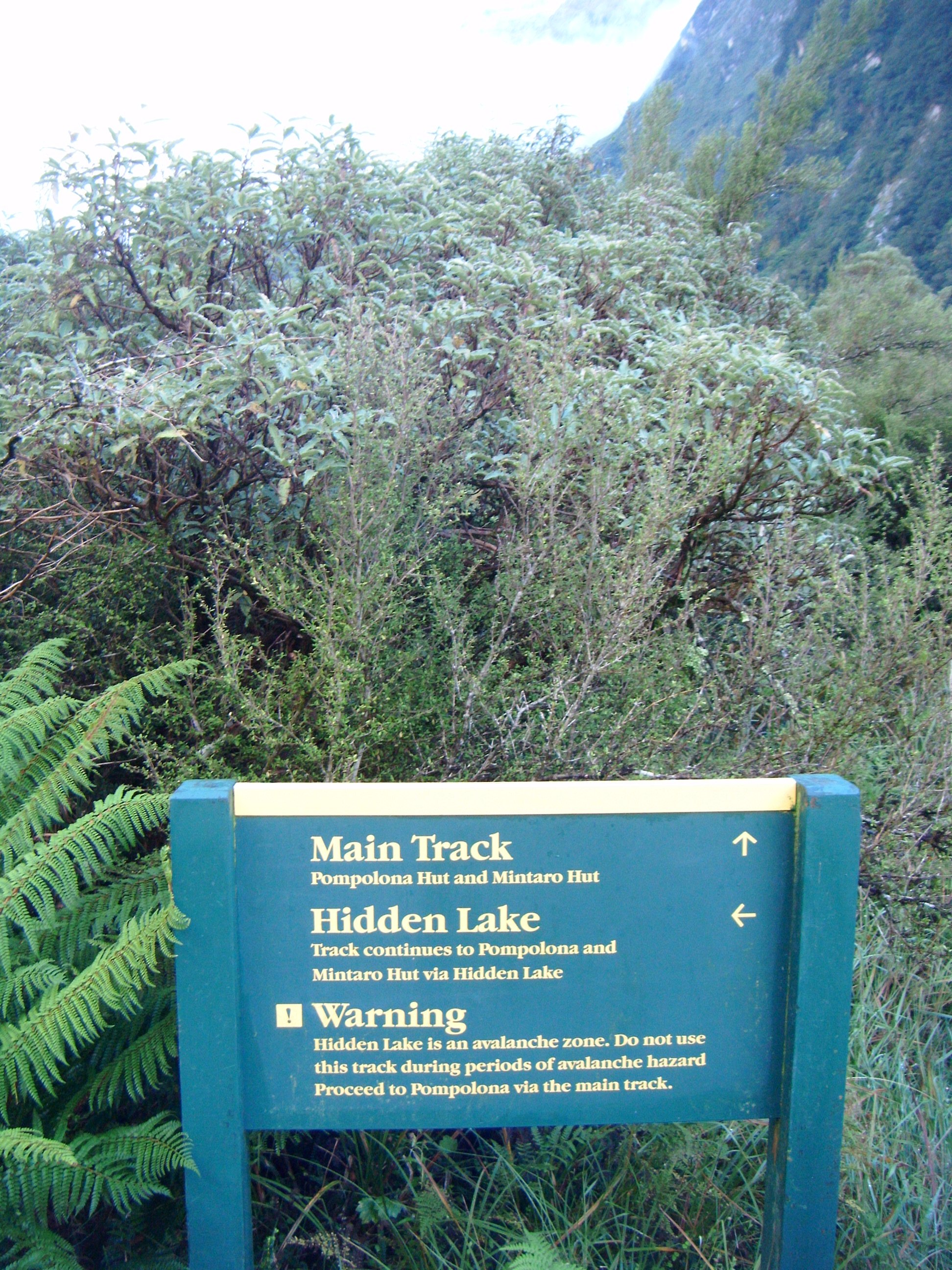 Milford Track