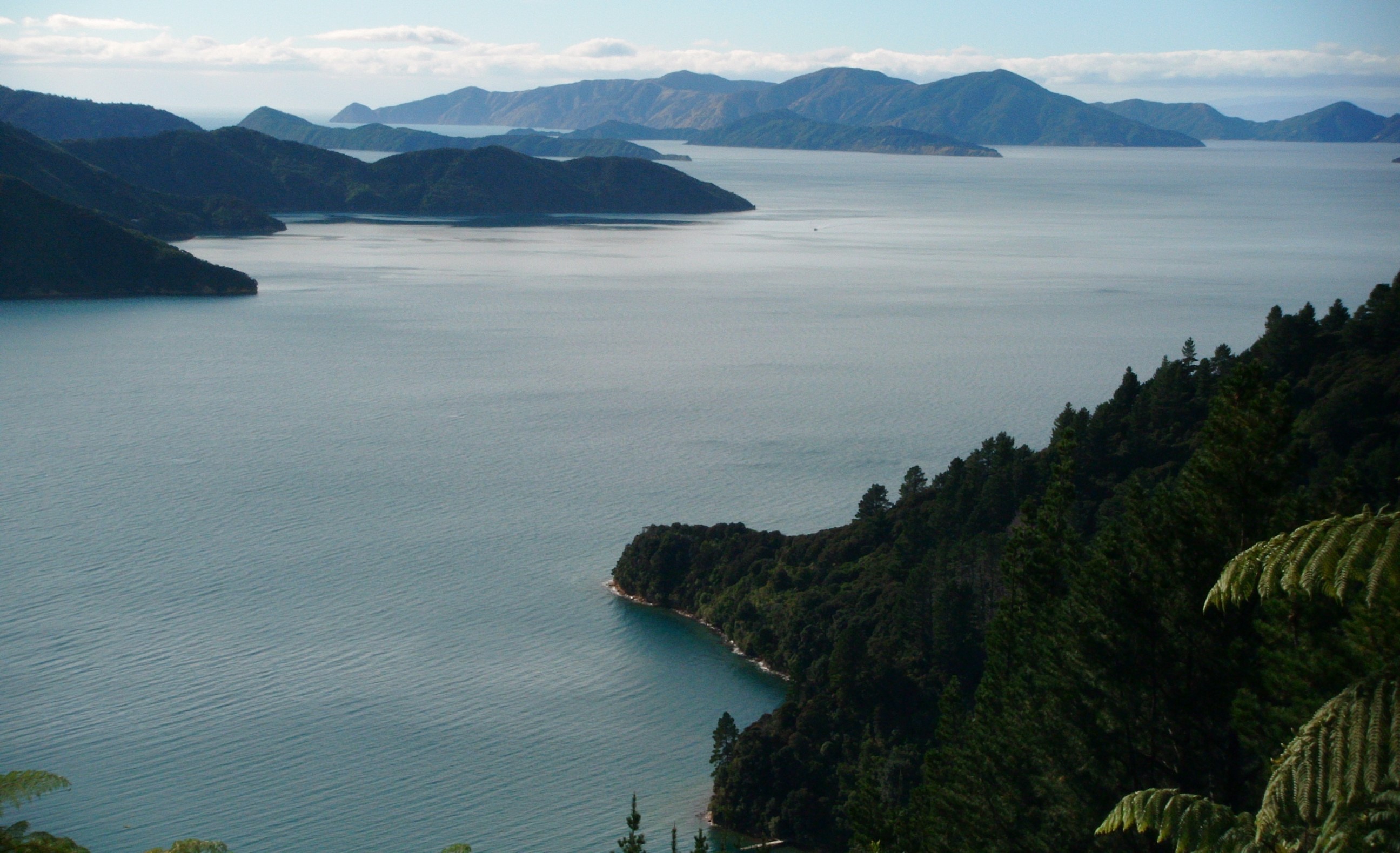 Queen Charlotte Track