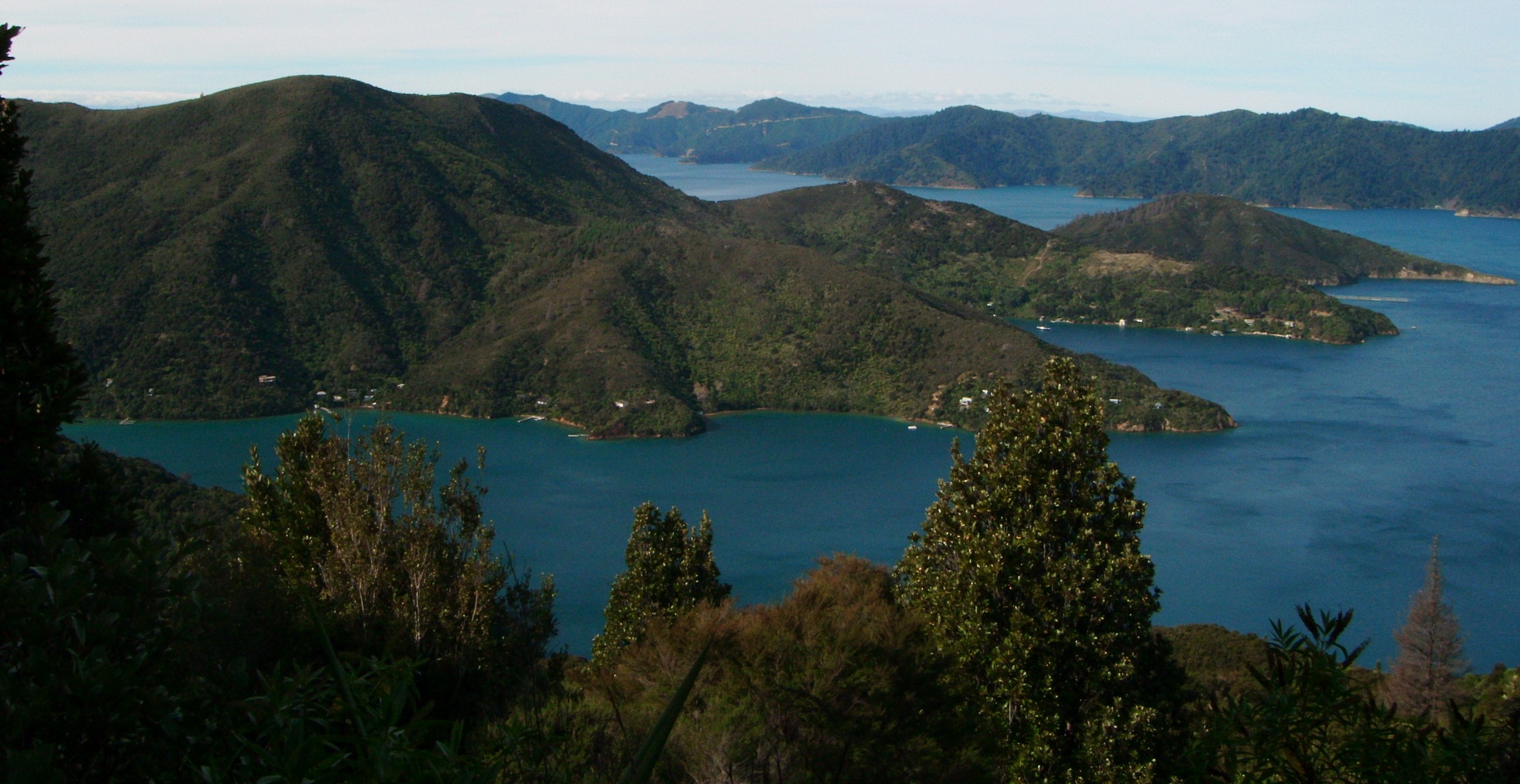 Queen Charlotte Track