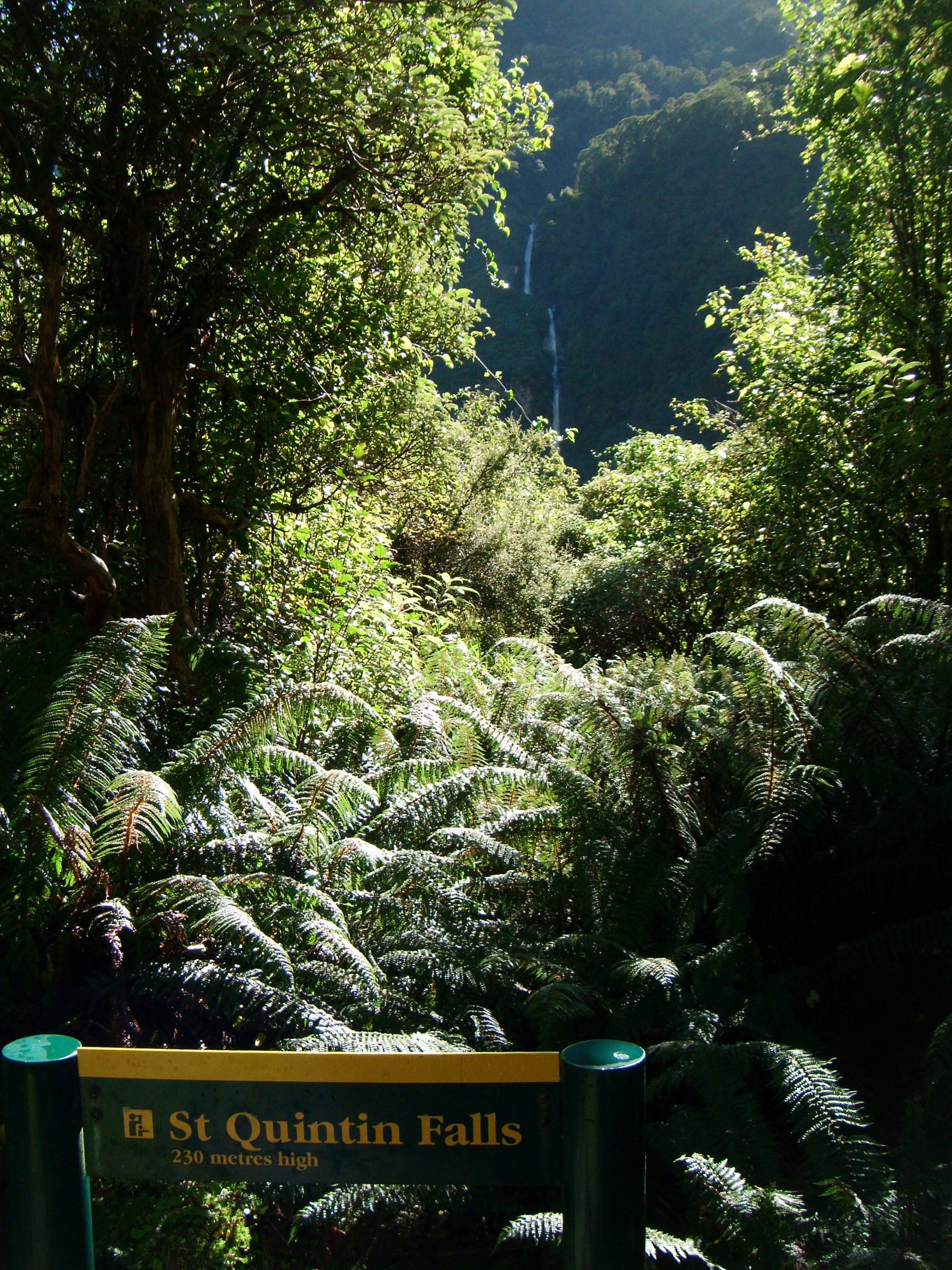 Milford Track