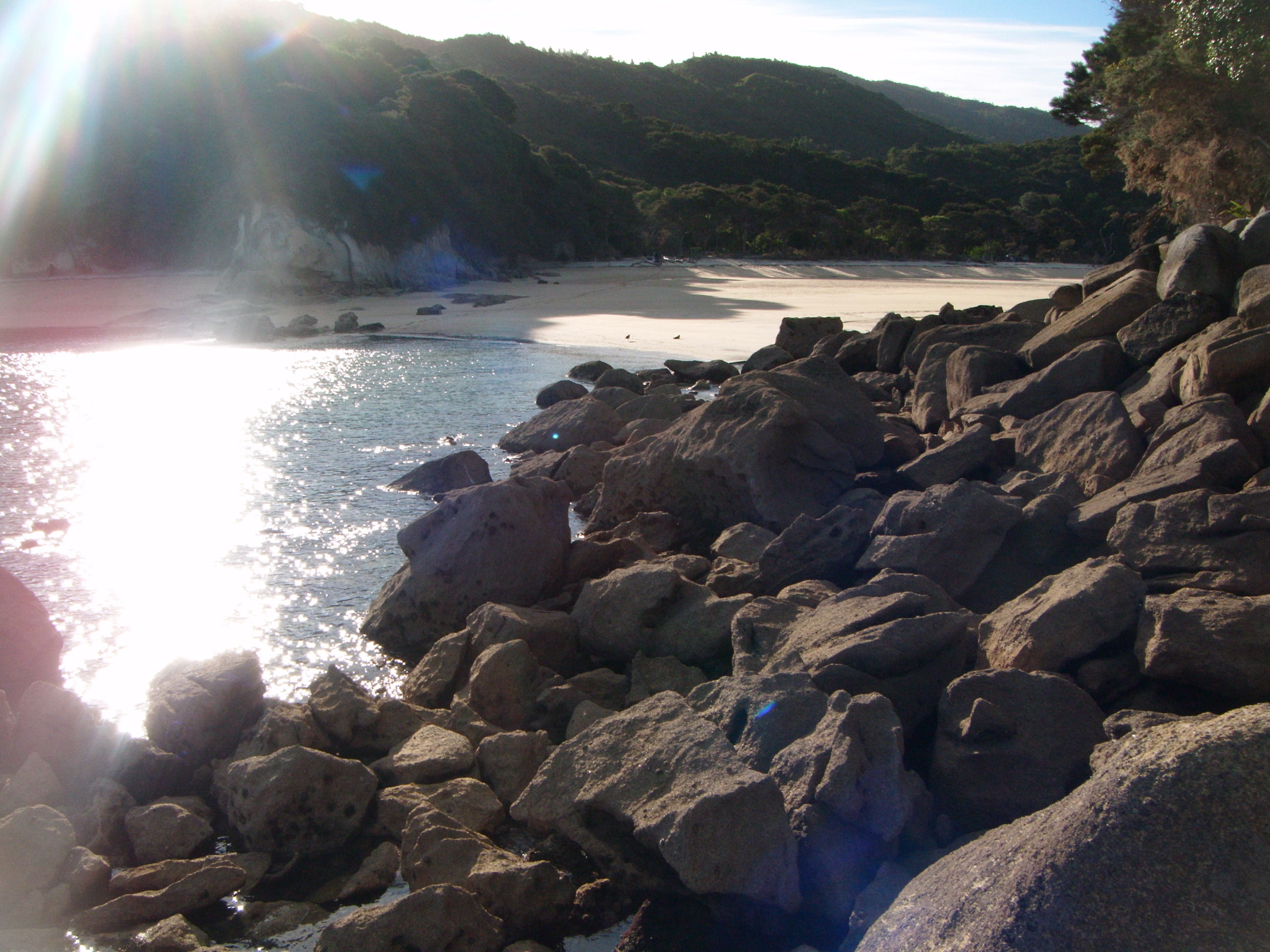 Abel Tasman