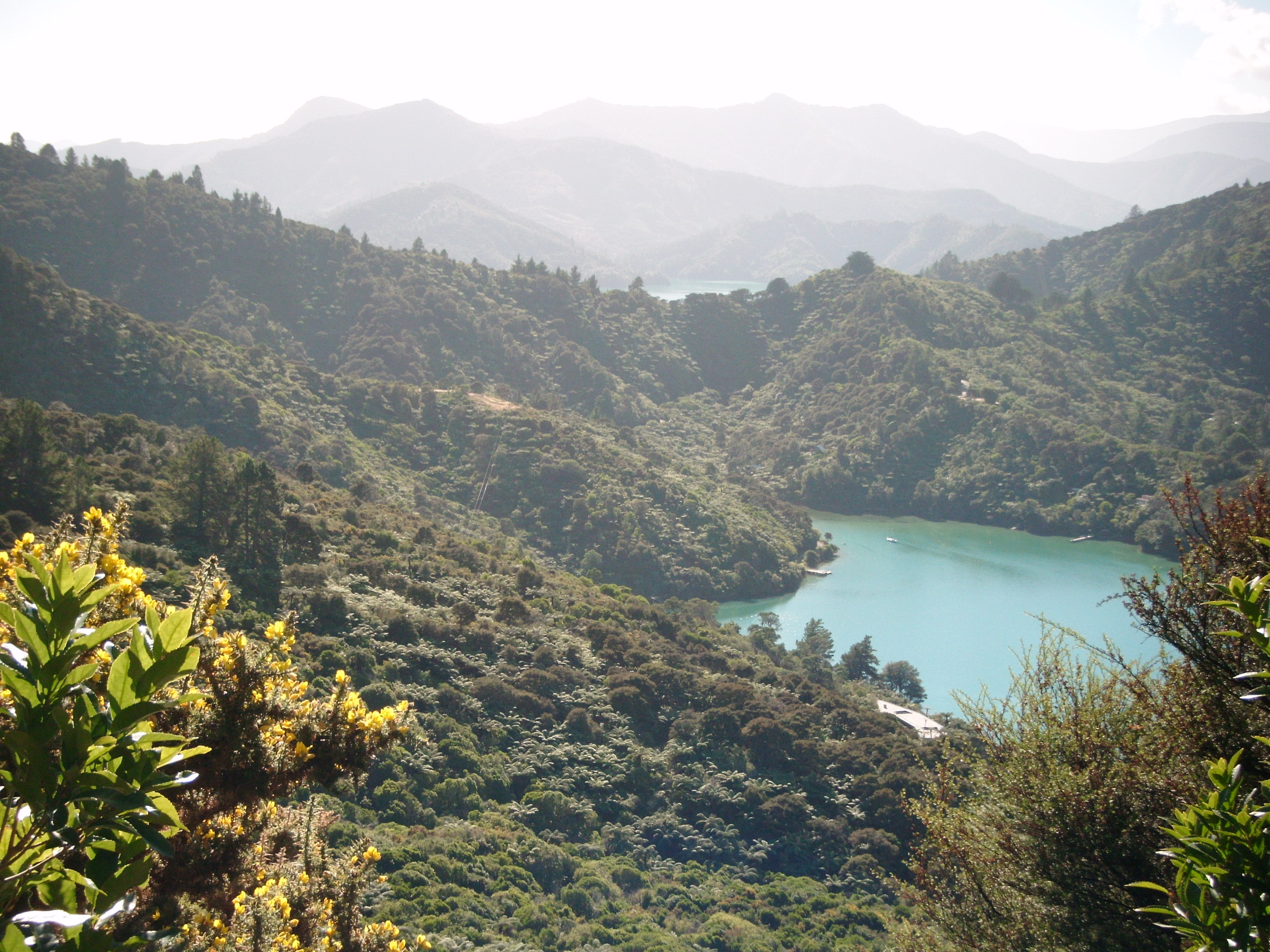 Queen Charlotte Track