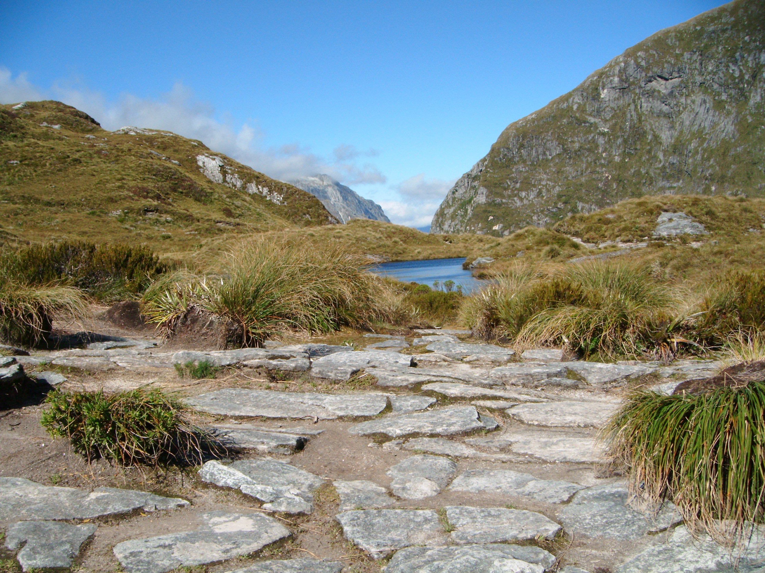 Milford Track