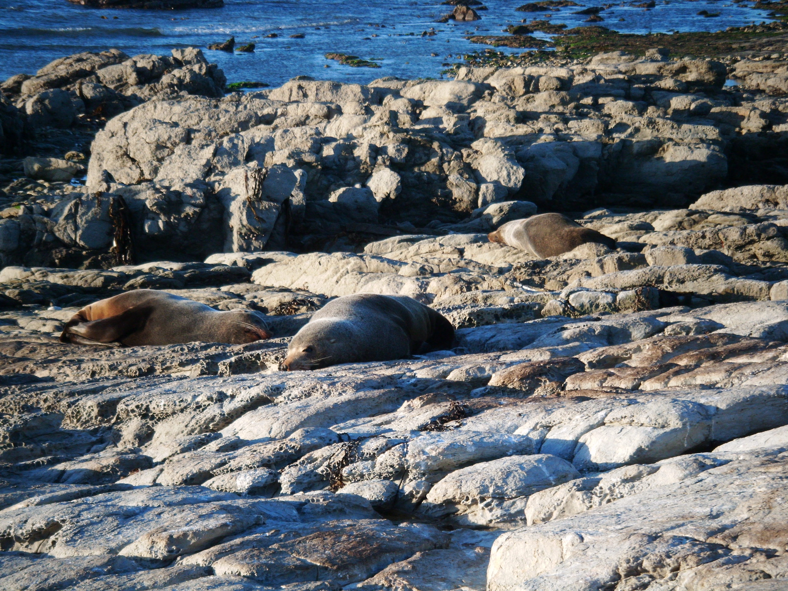 Kaikoura