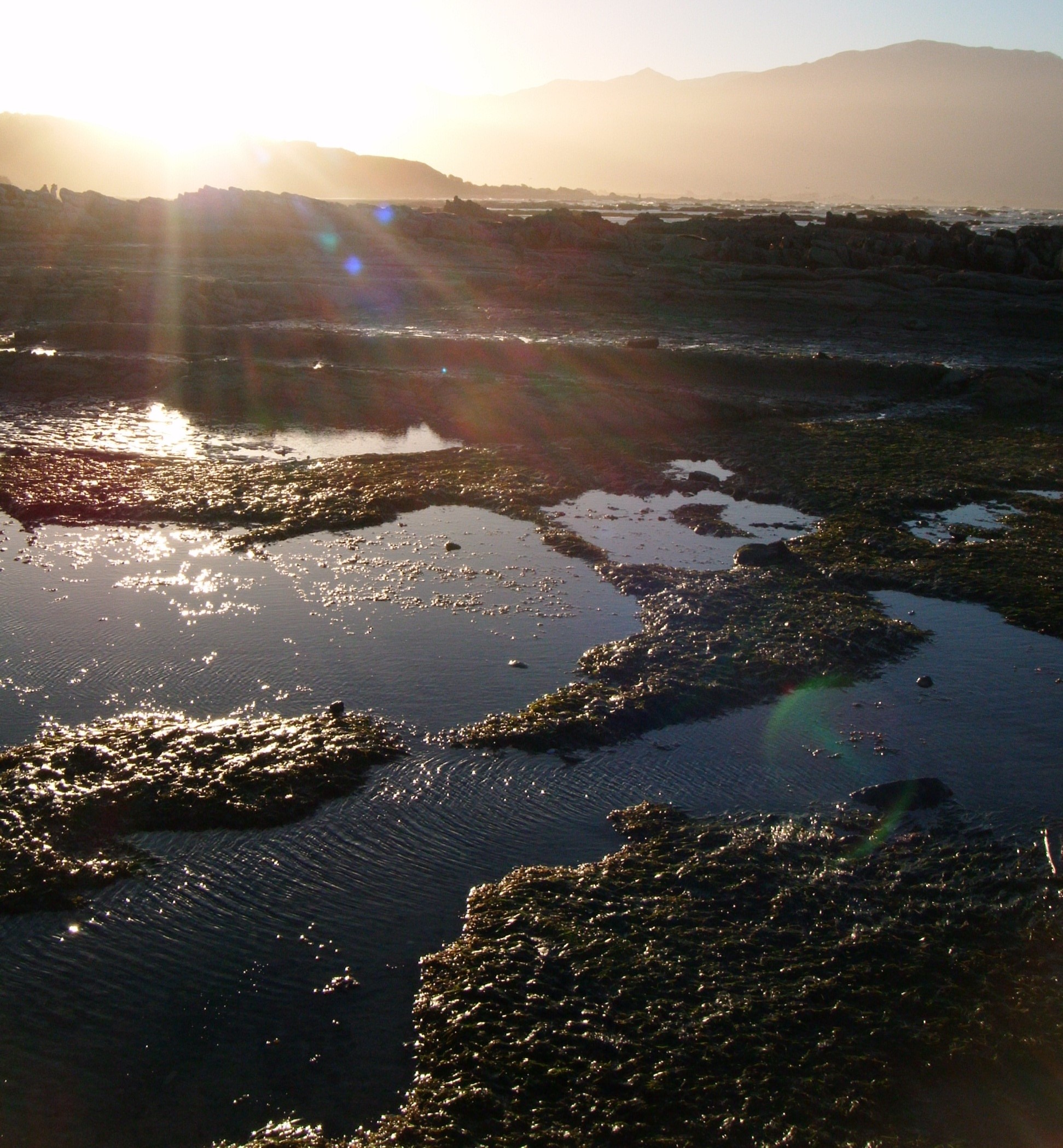 Kaikoura