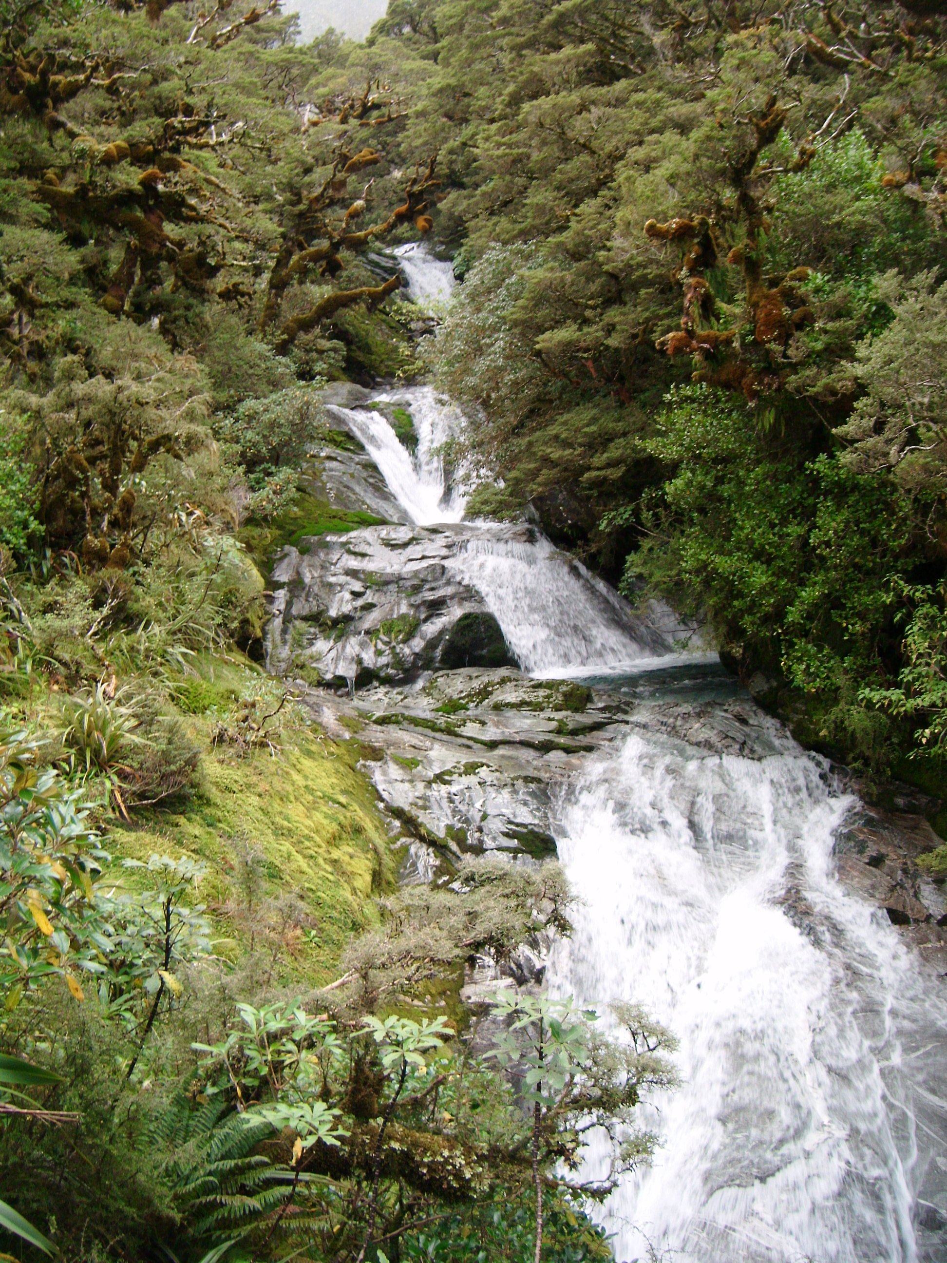 Milford Track