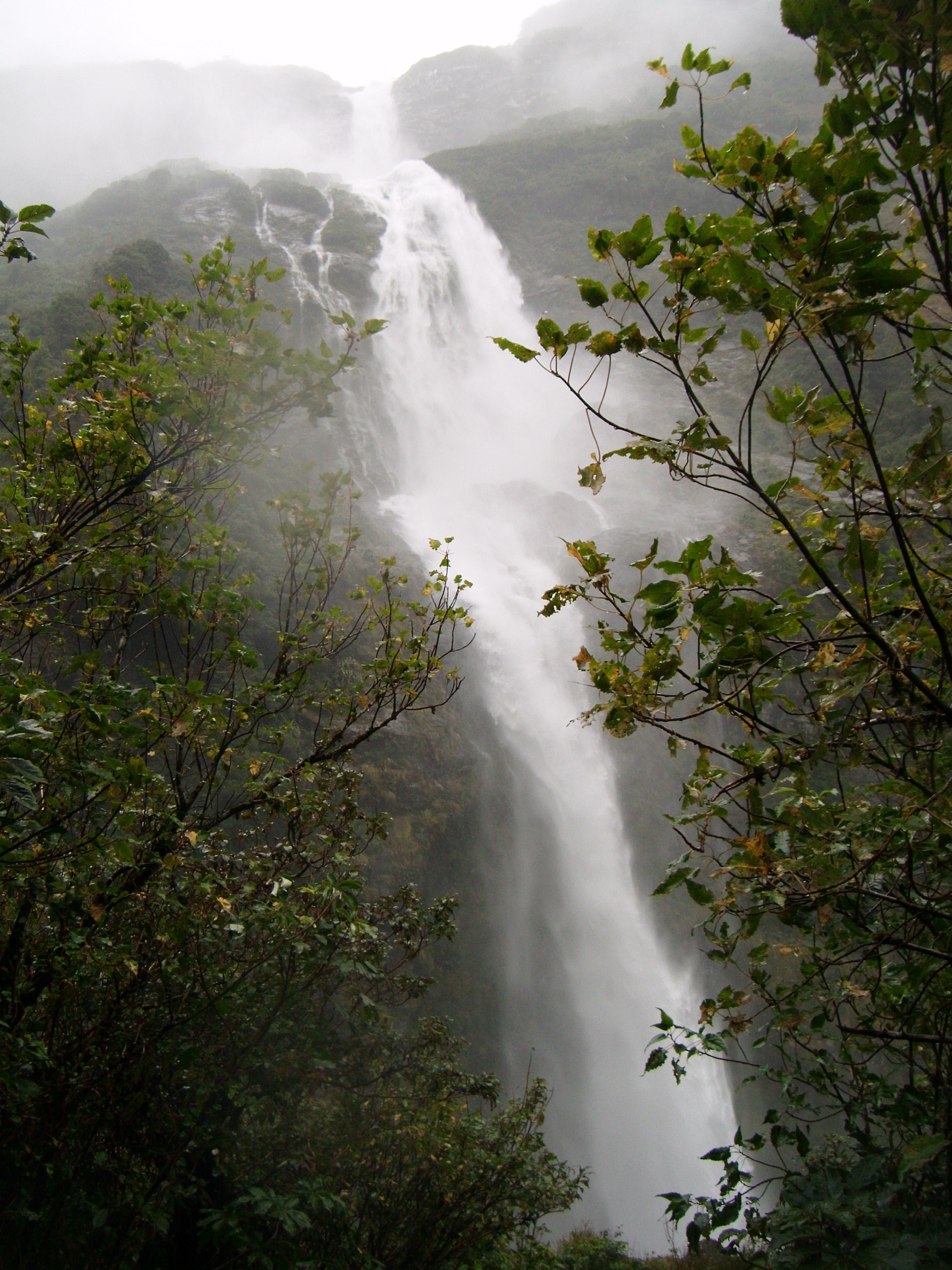 Milford Track