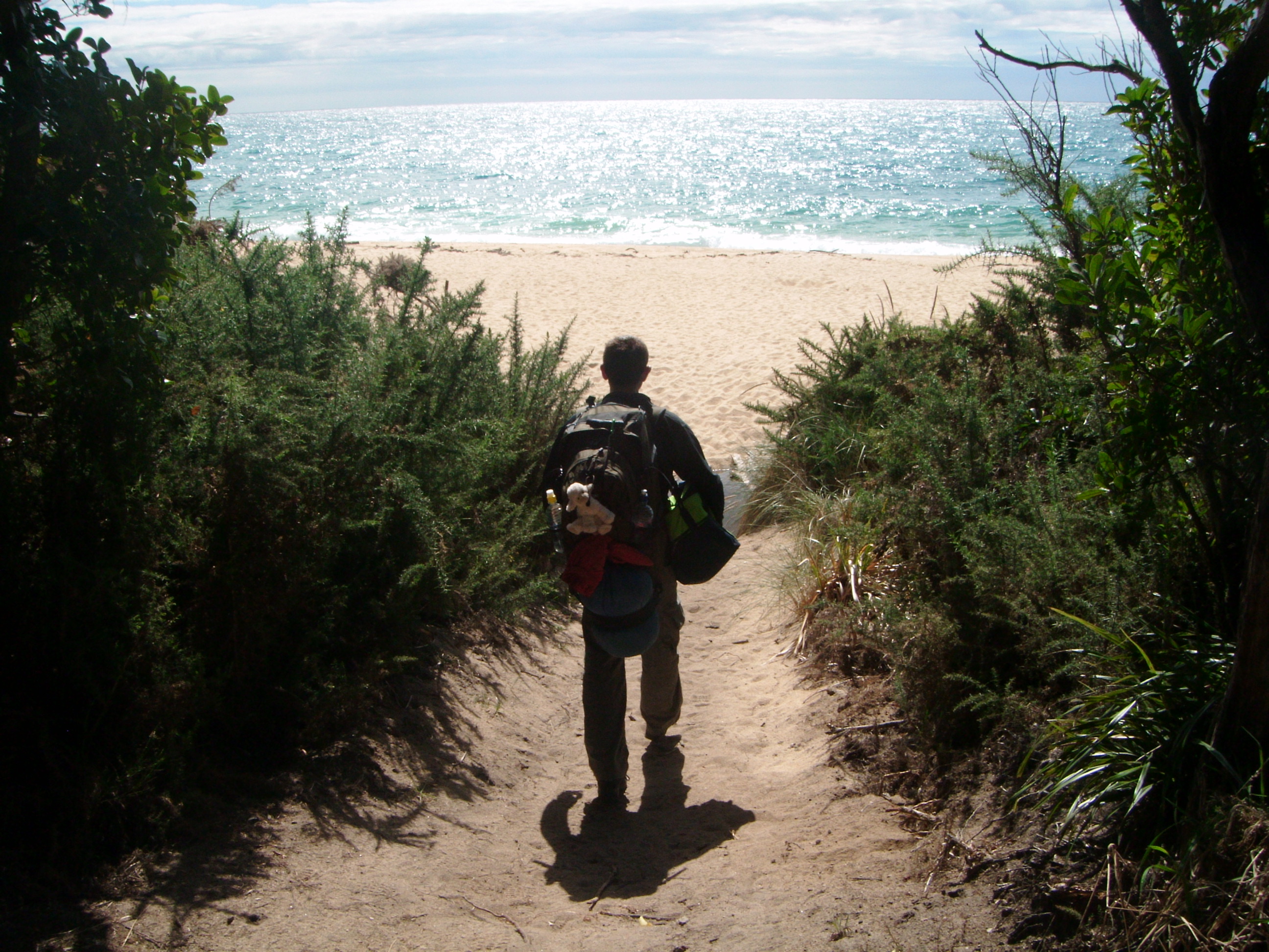 Abel Tasman